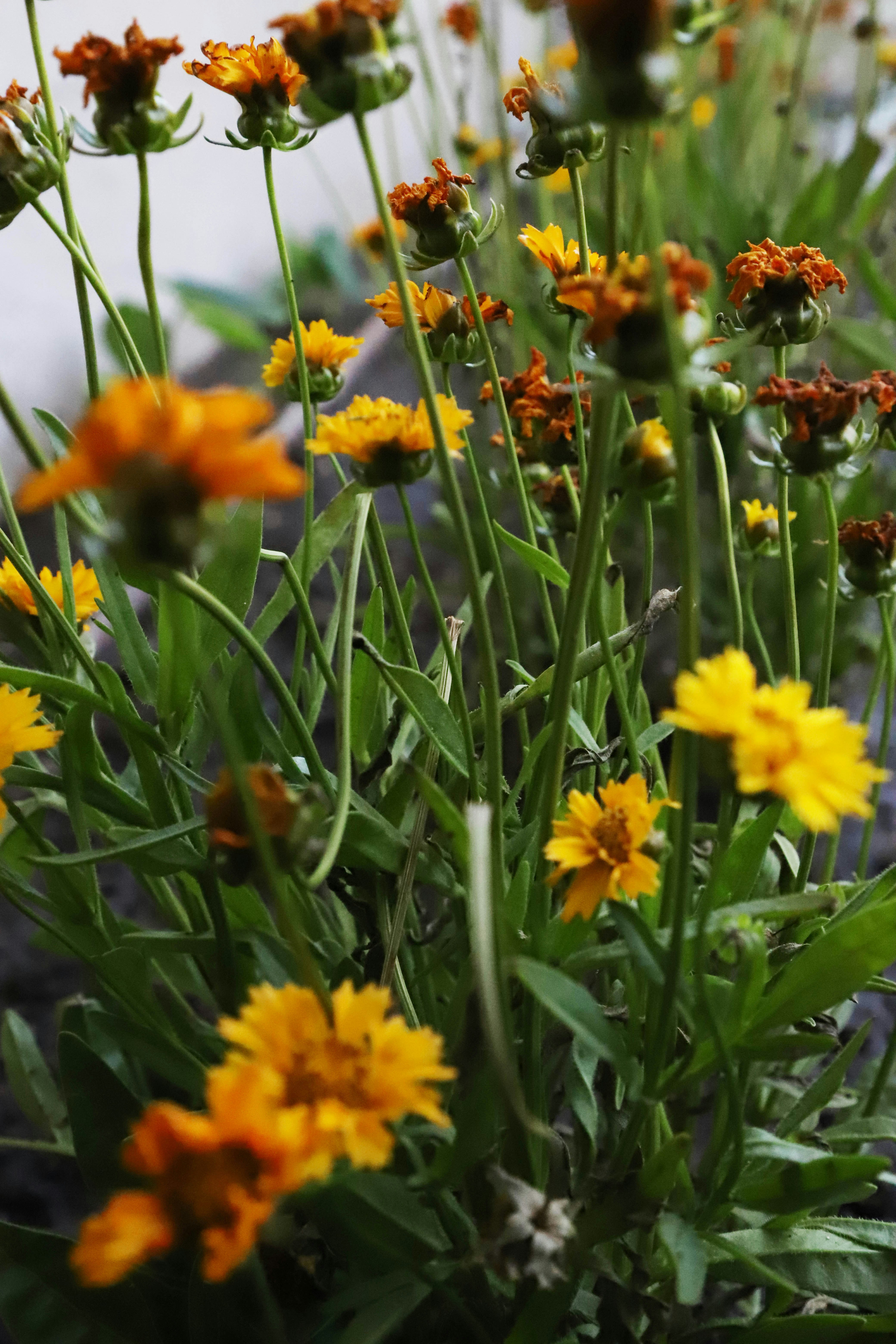 Photo by vicphotos99