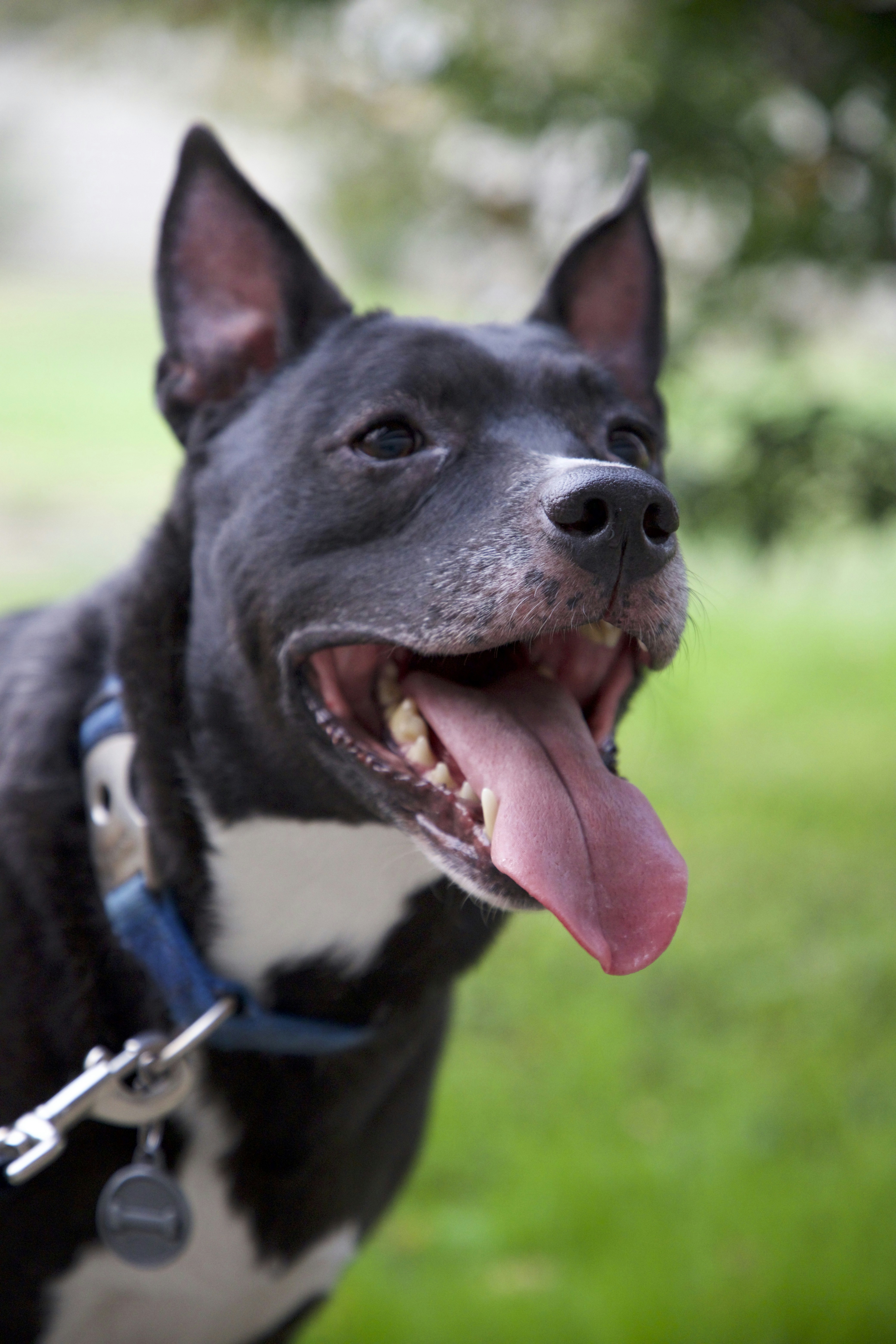 Photo by vicphotos99