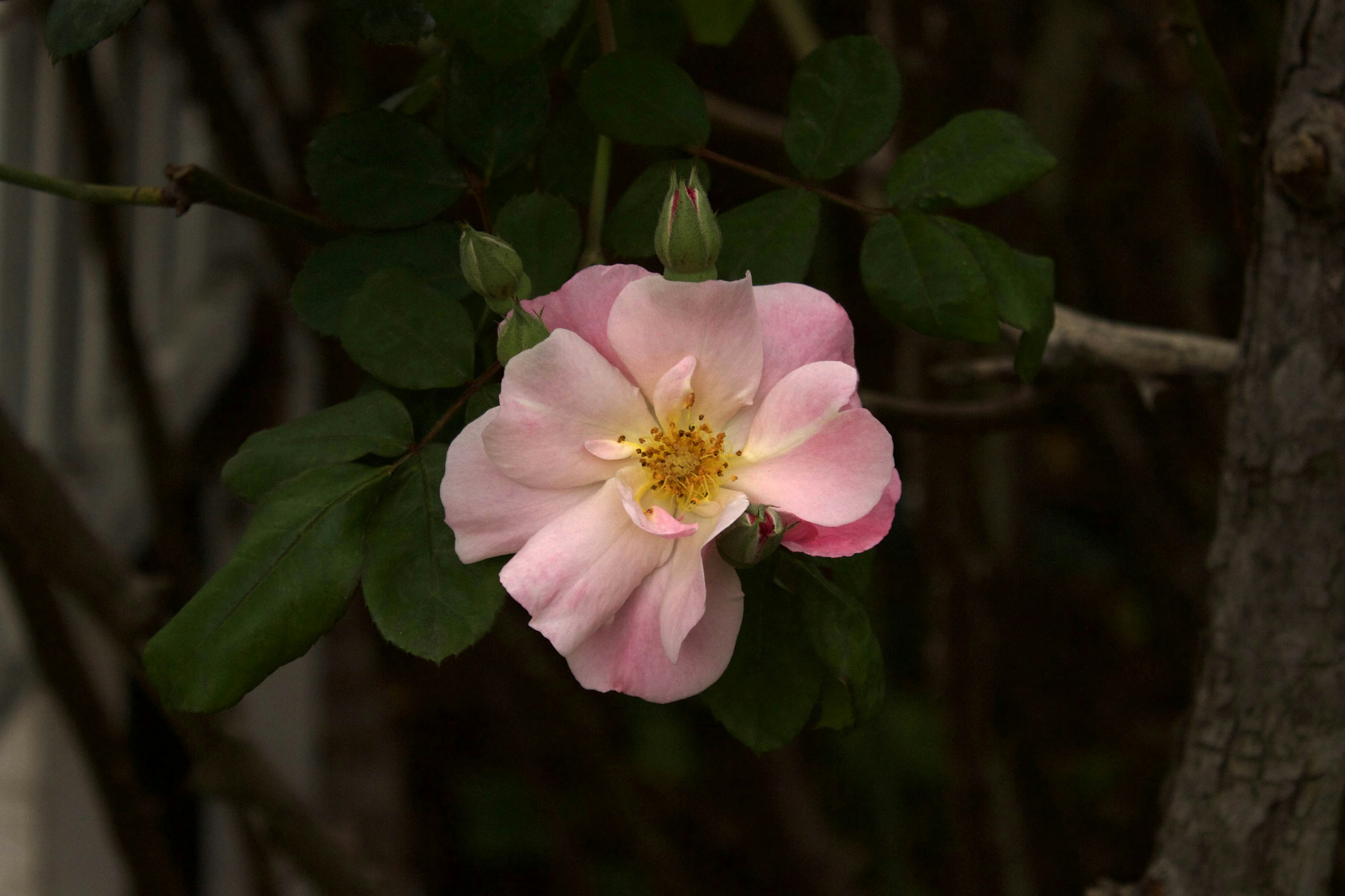 Photo by vicphotos99