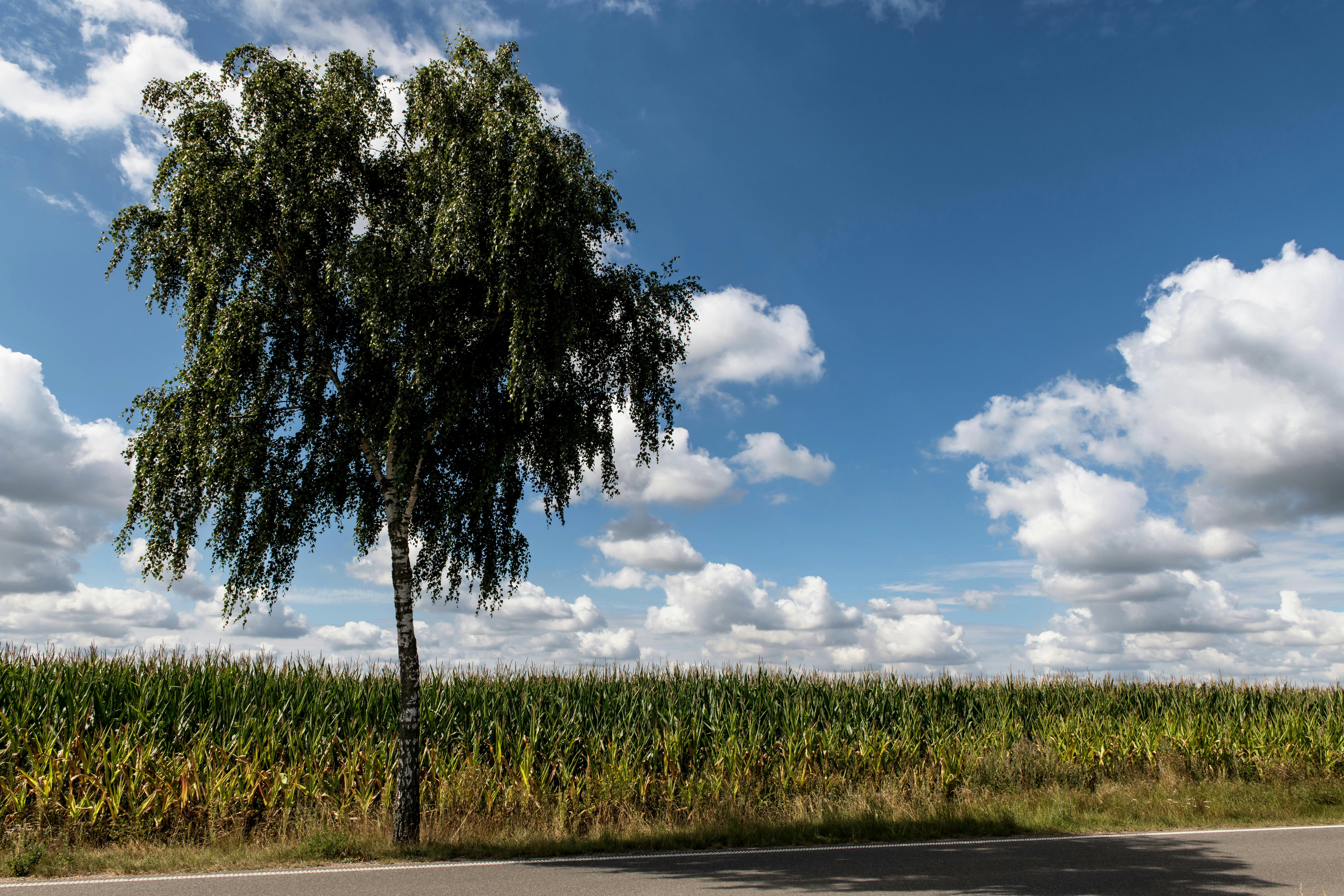 Photo by hamburgmeinefreundin