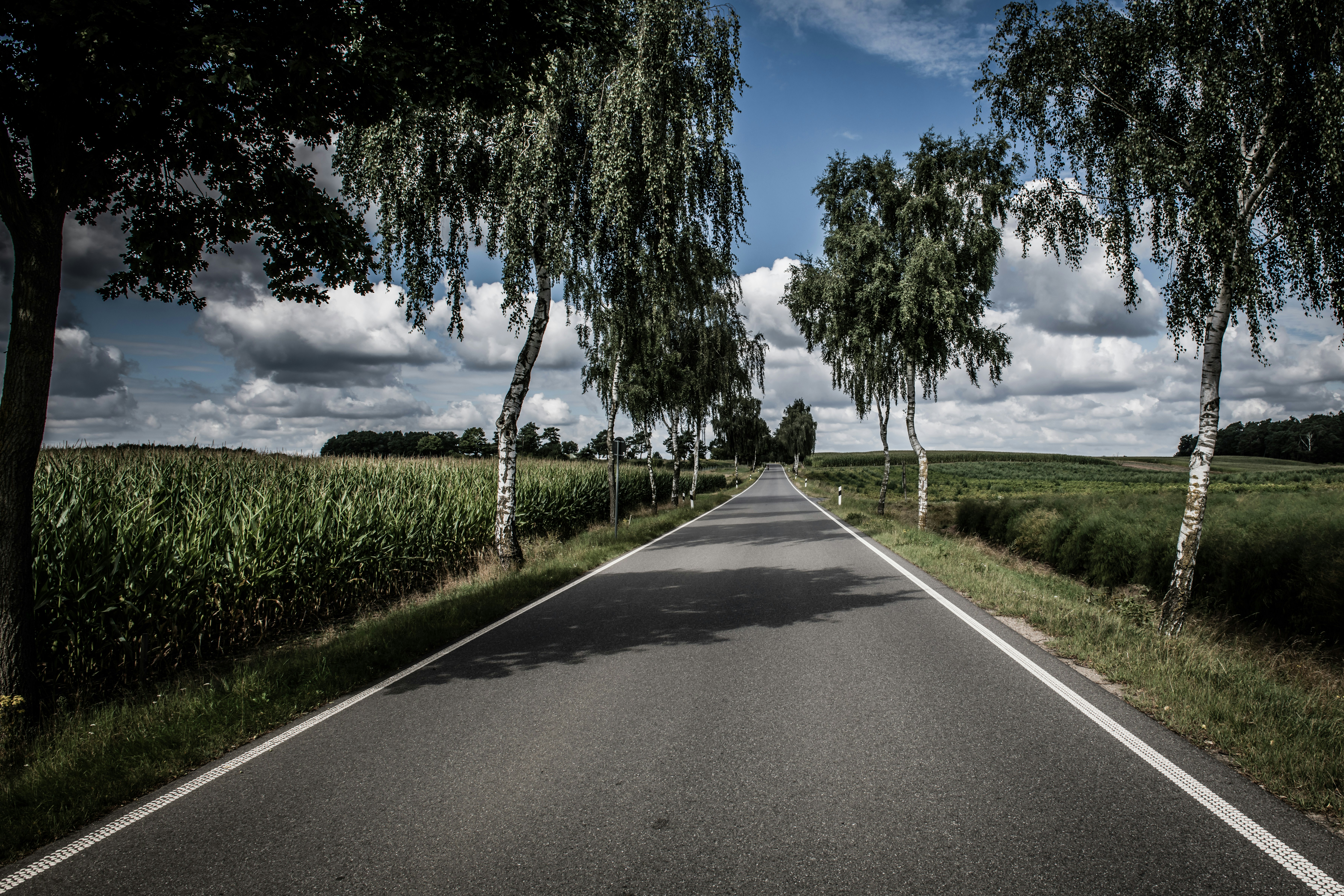 Photo by hamburgmeinefreundin