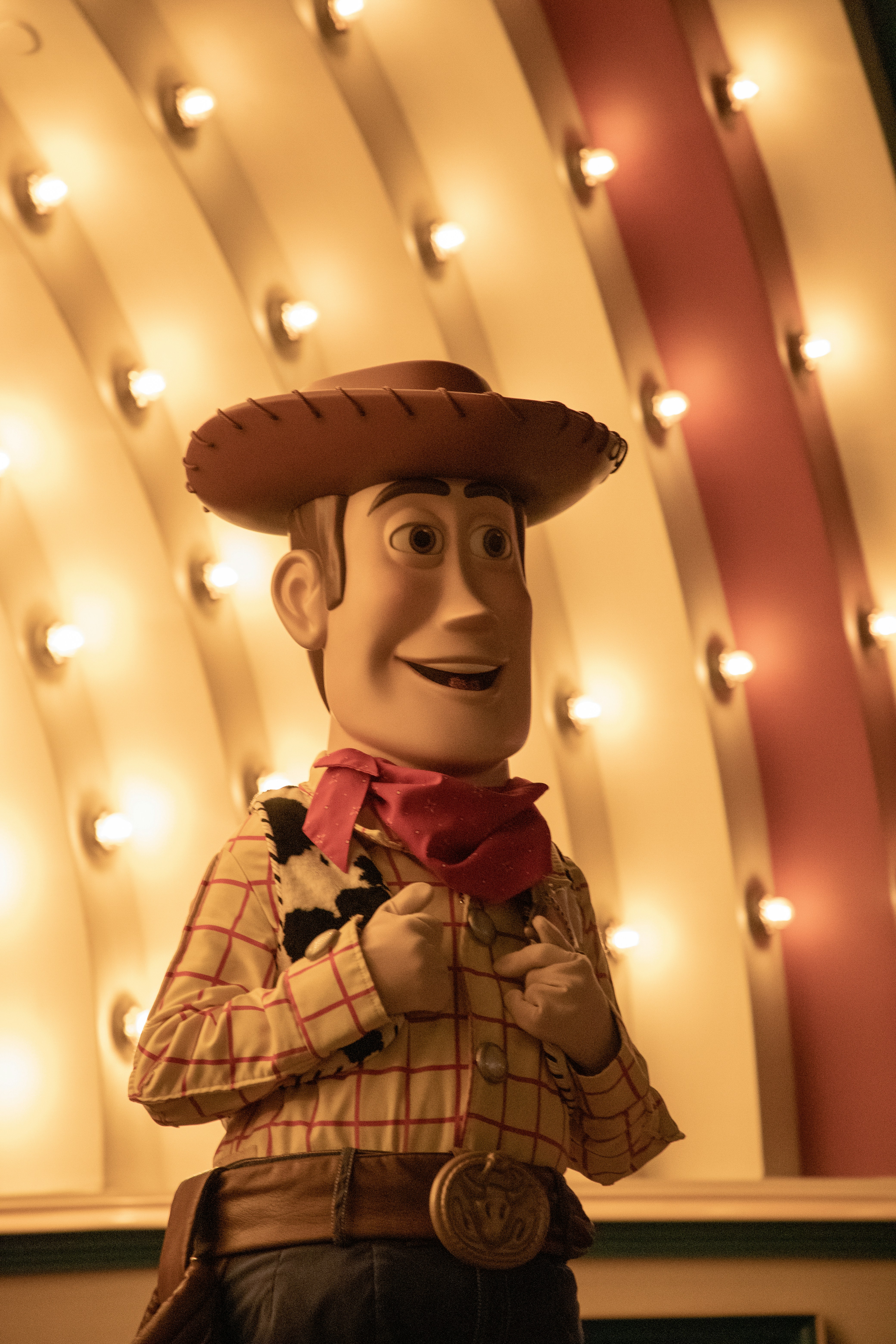 Photo by vicphotos99