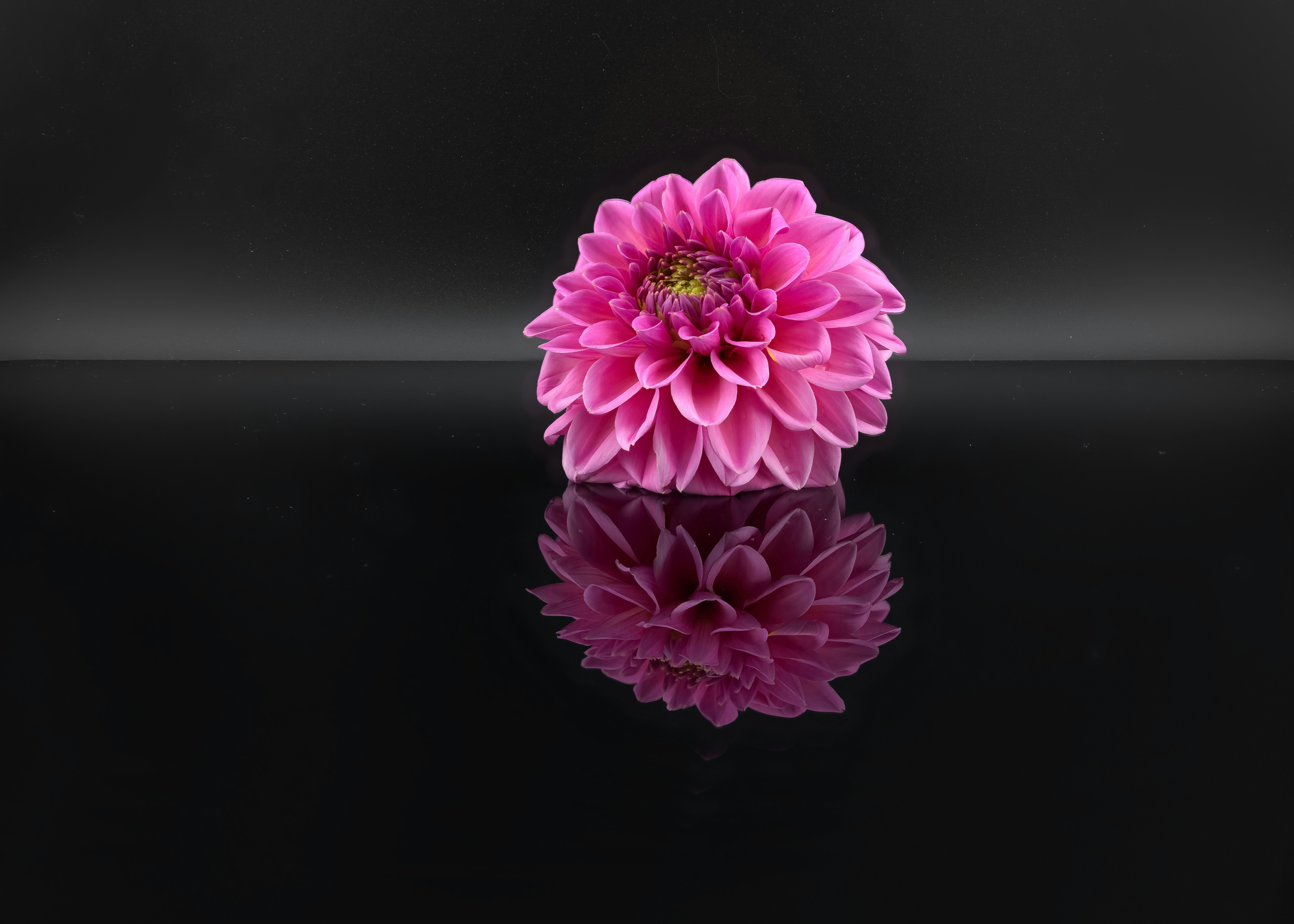 Photo by hamburgmeinefreundin