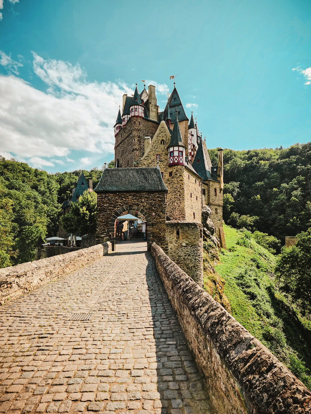 Castillo medieval en el valle del Mosela