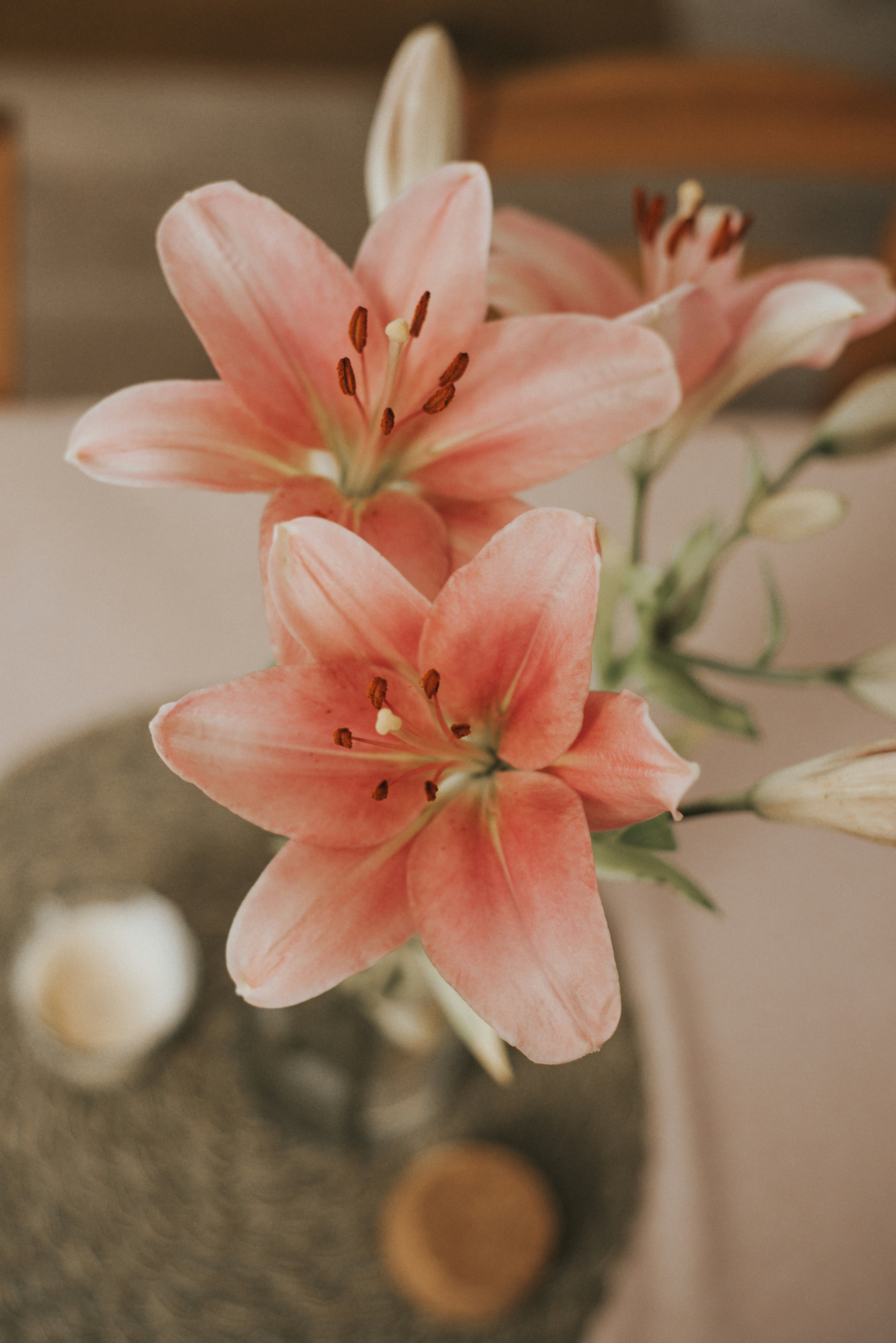 A vase filled with pink flowers on top of a table photo – Free Flower Image  on Unsplash, image size:3000x4494
