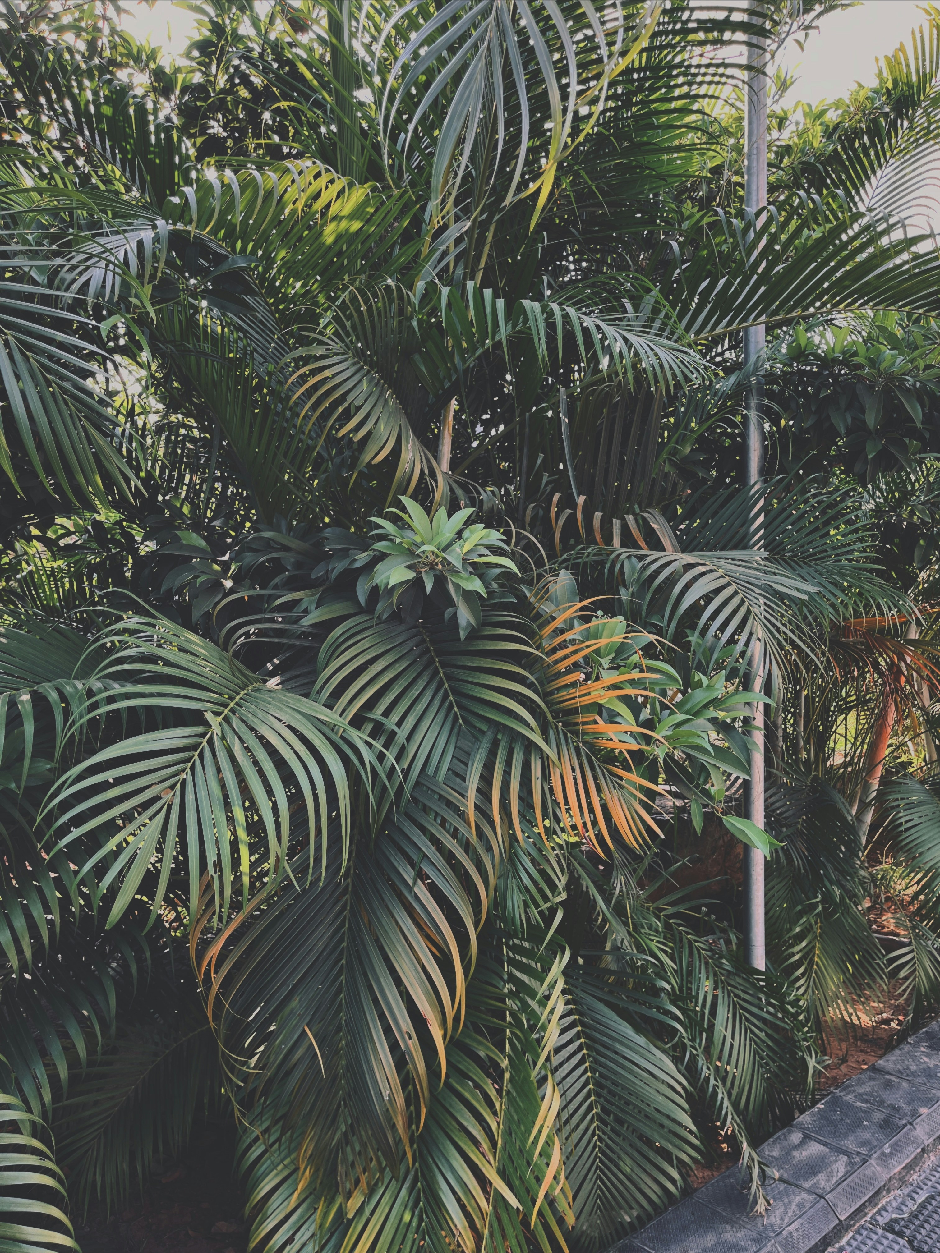 Photo by basim_clicks