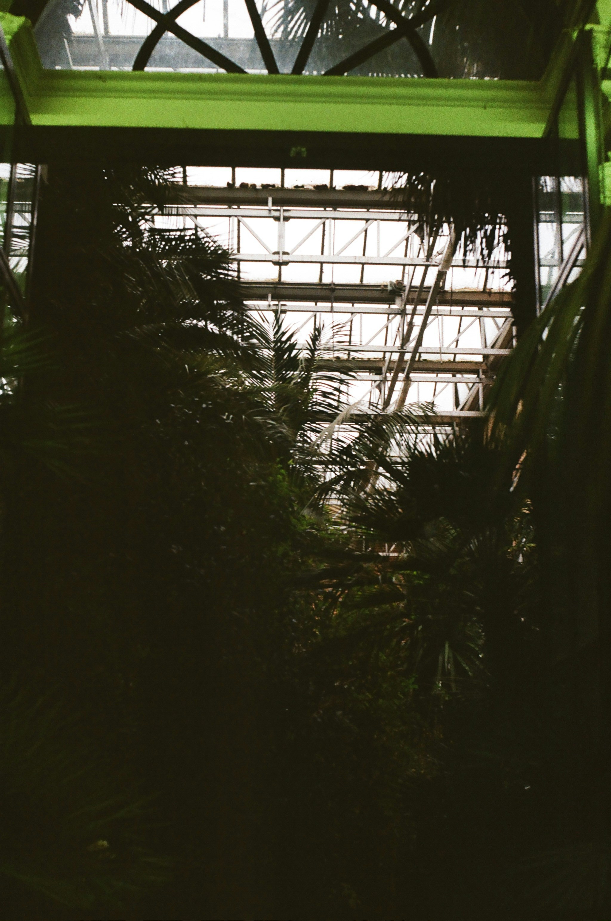 Photo by simeonduwel