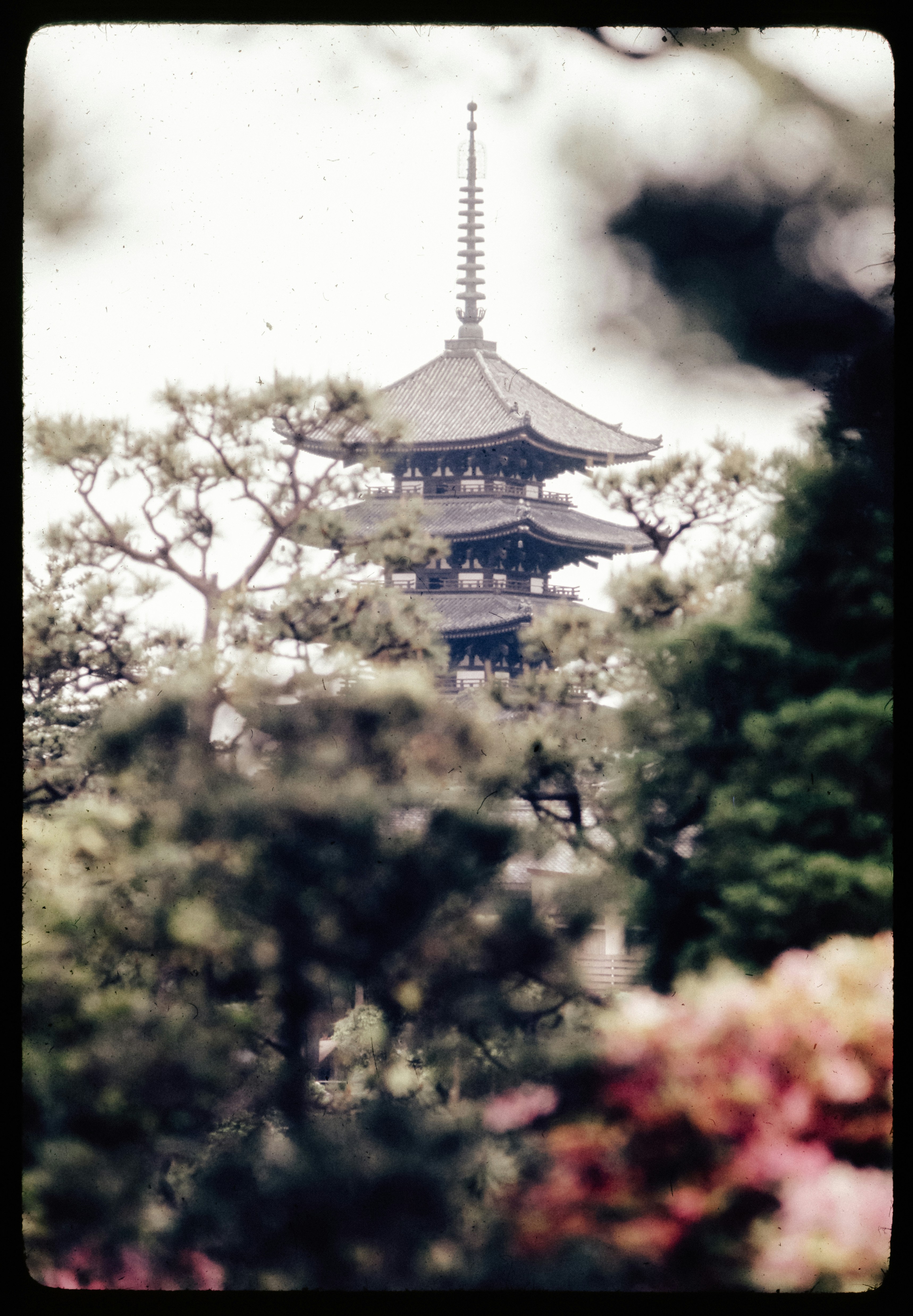 Photo by anniespratt