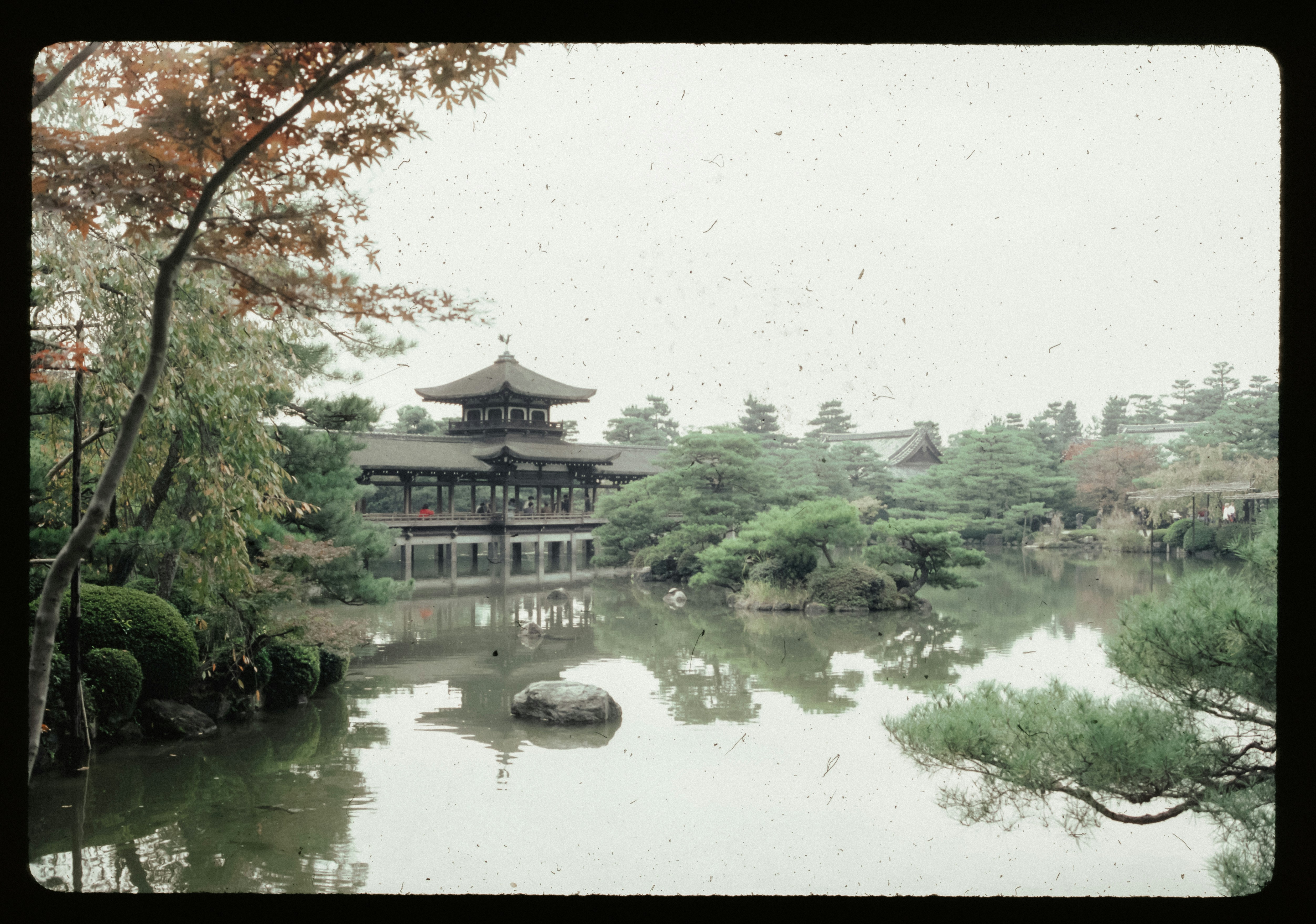 Photo by anniespratt