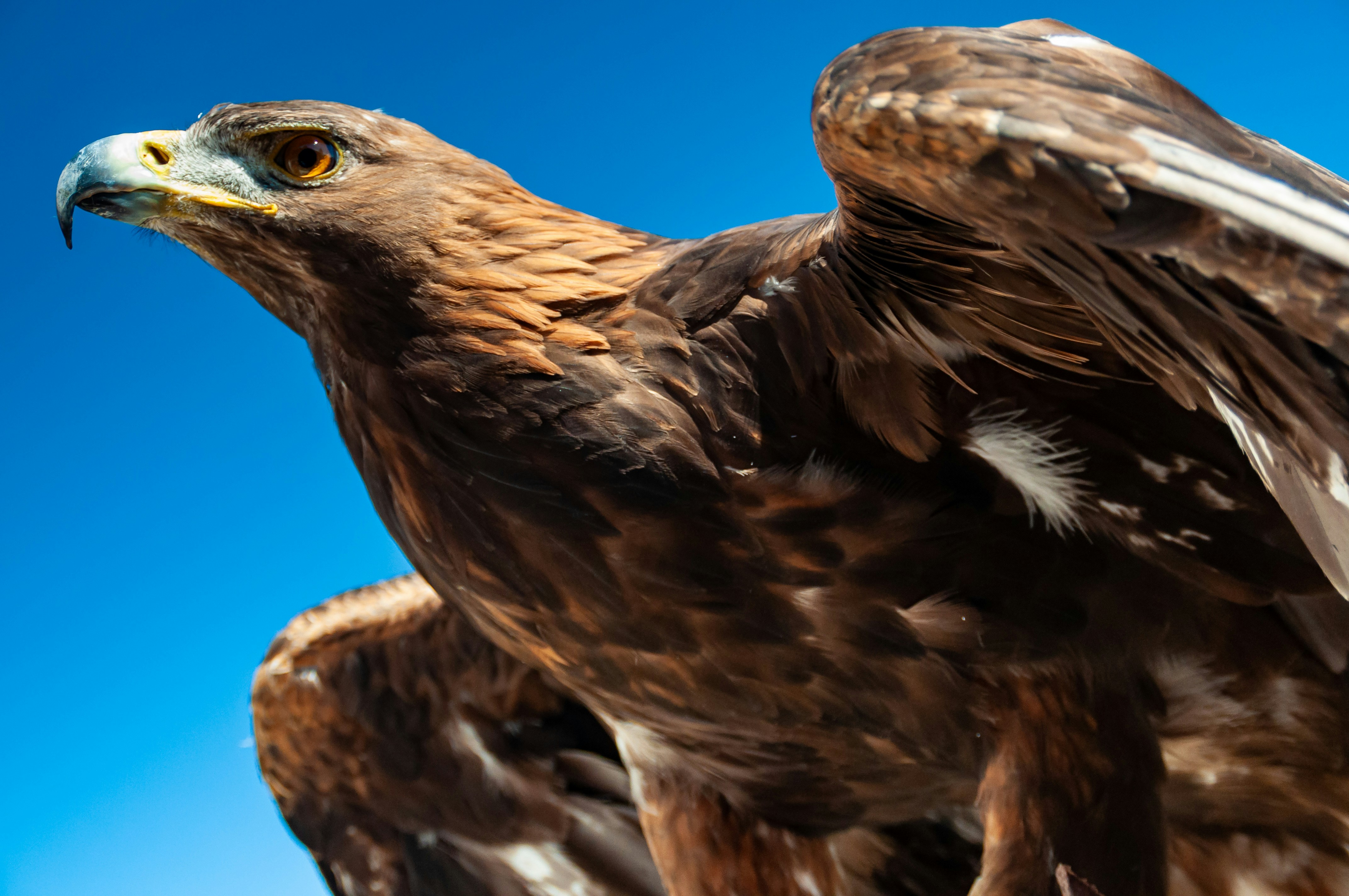 Photo by bilderjaeger