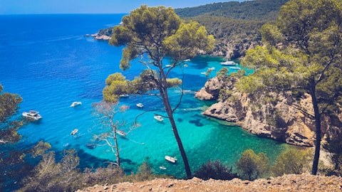 A view of a beach with boats in the water
