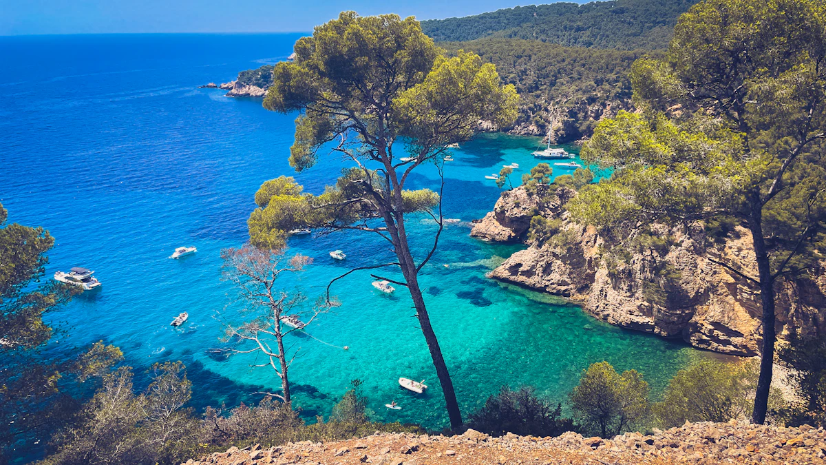 Bandol