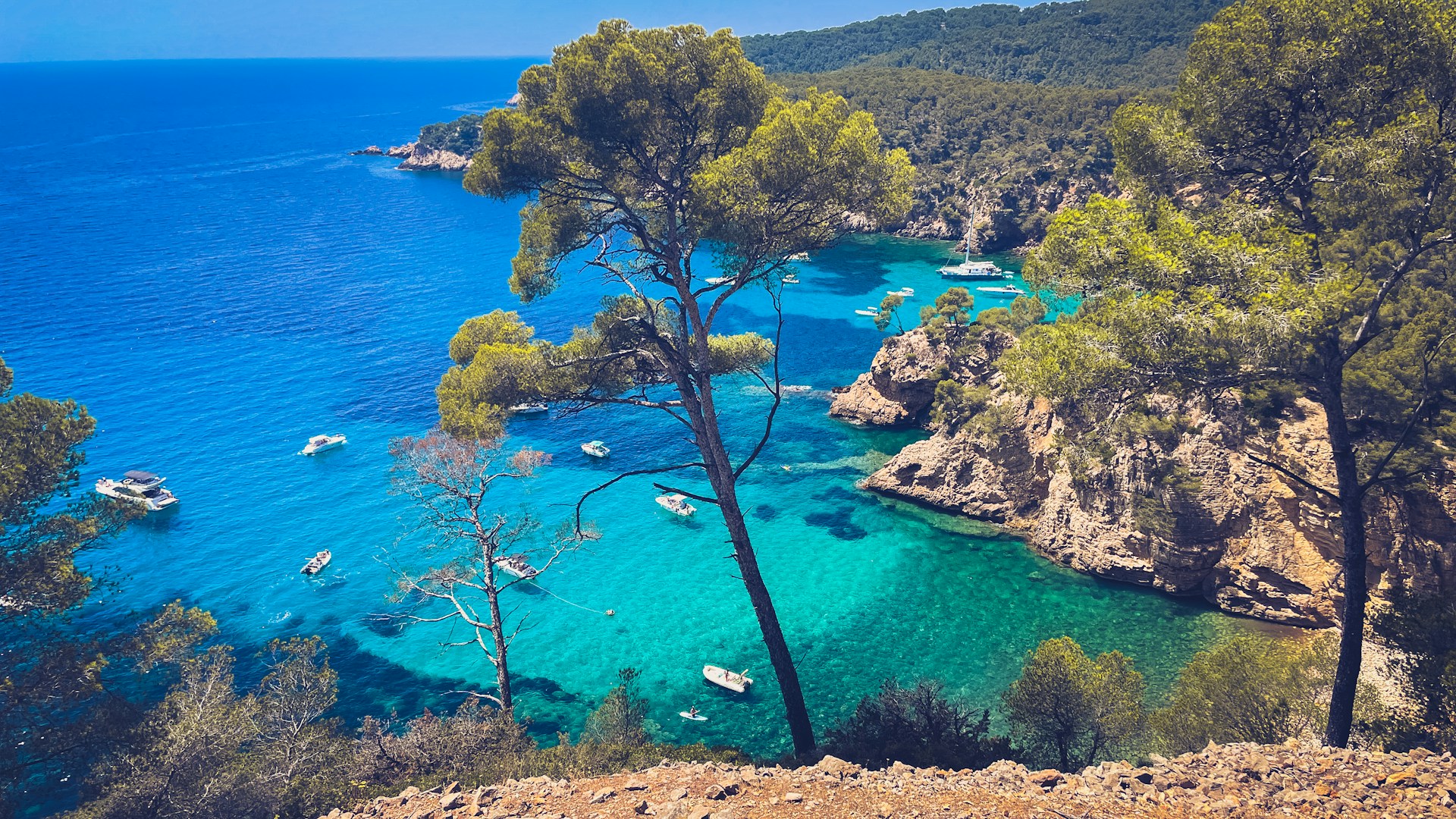 A view of a beach with boats in the water