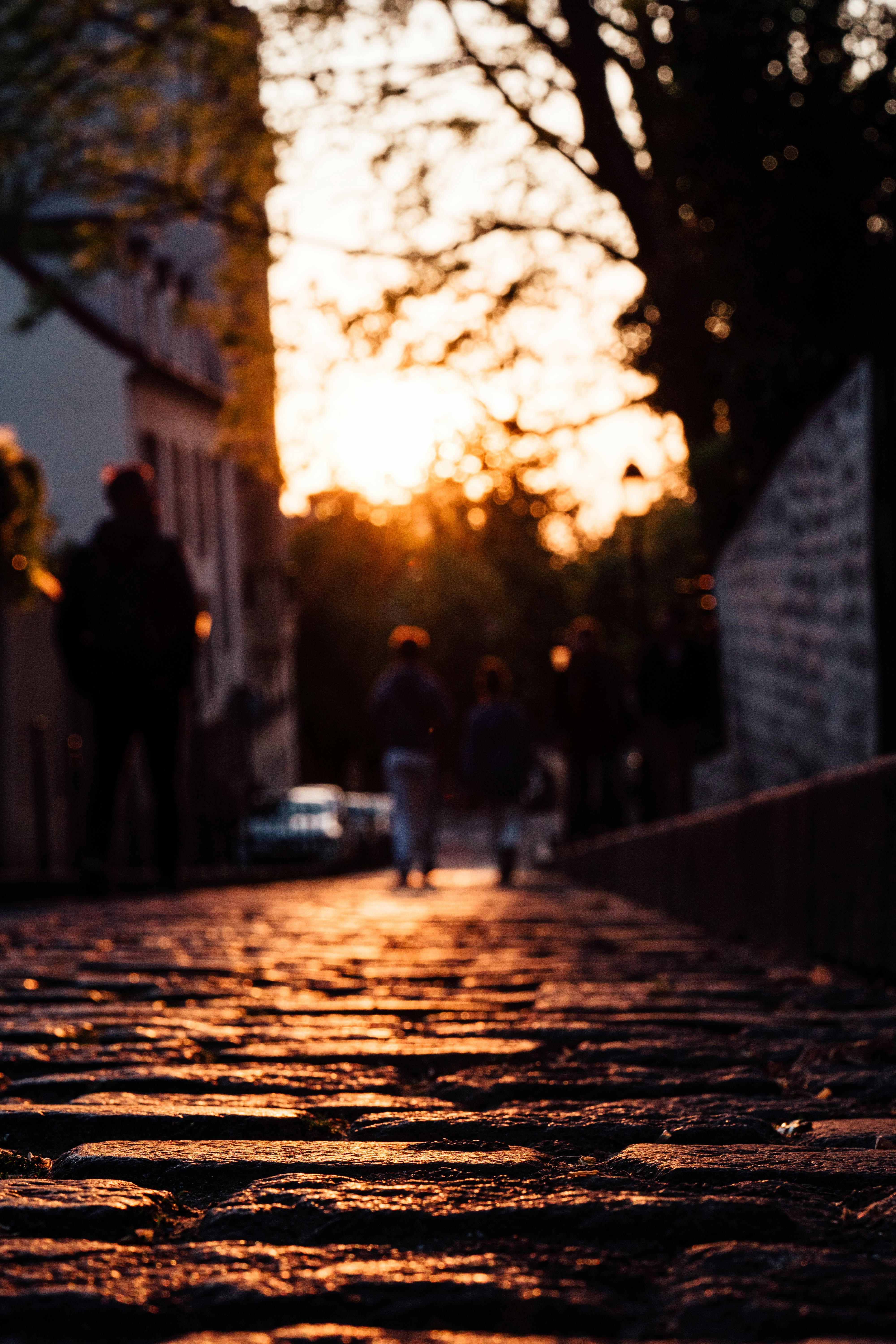 Photo by benjamin_photo_lab