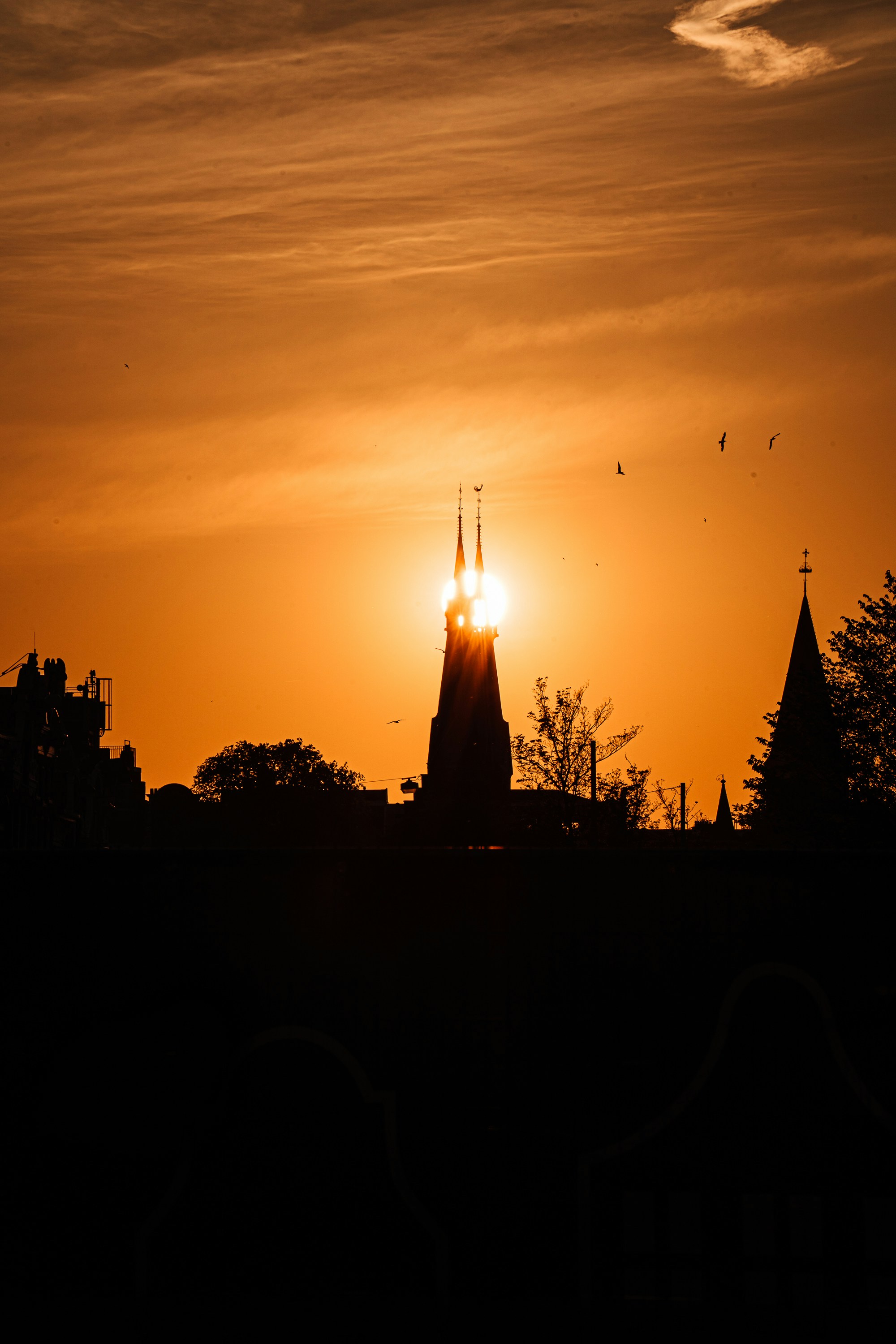 Photo by benjamin_photo_lab