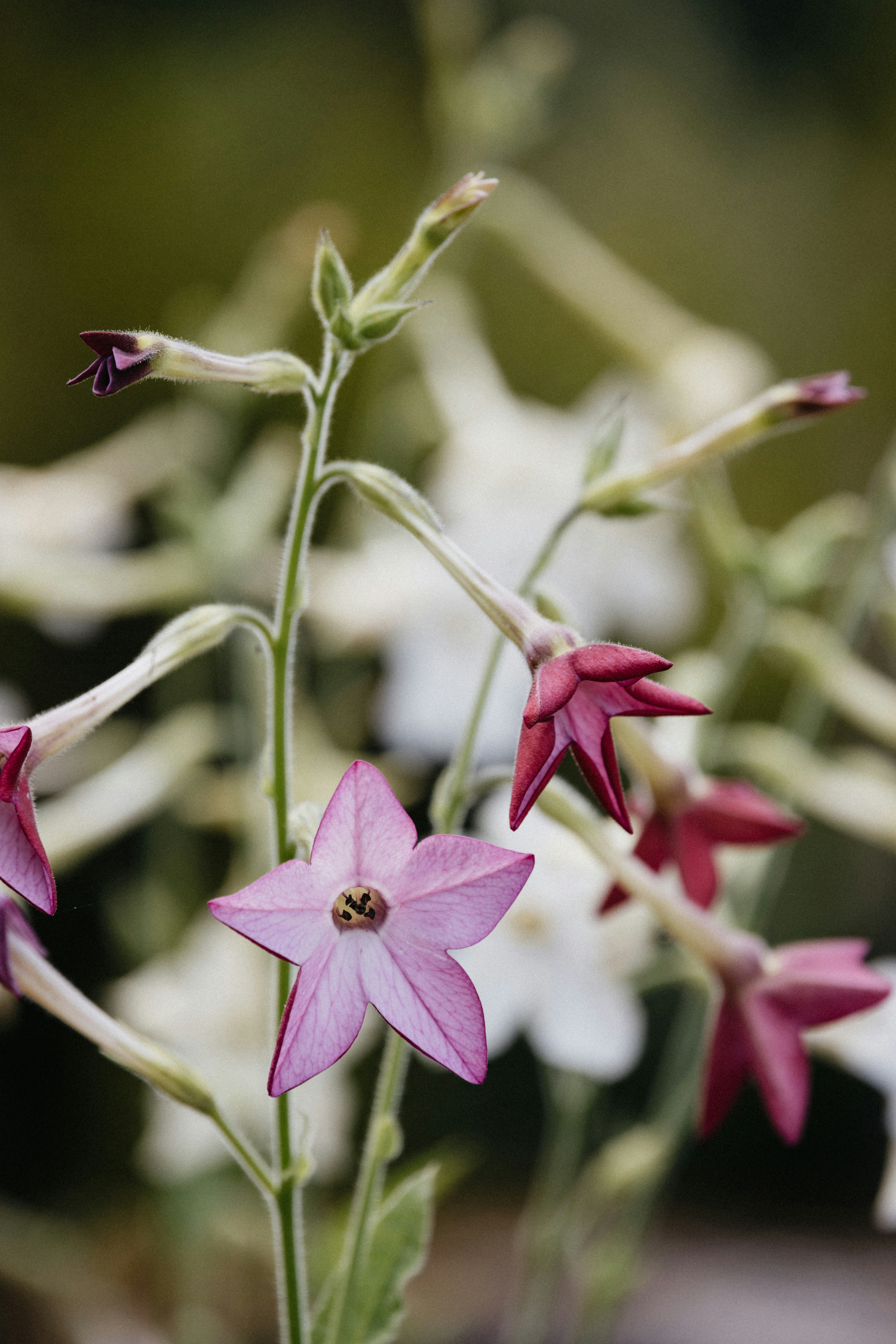 Photo by anniespratt