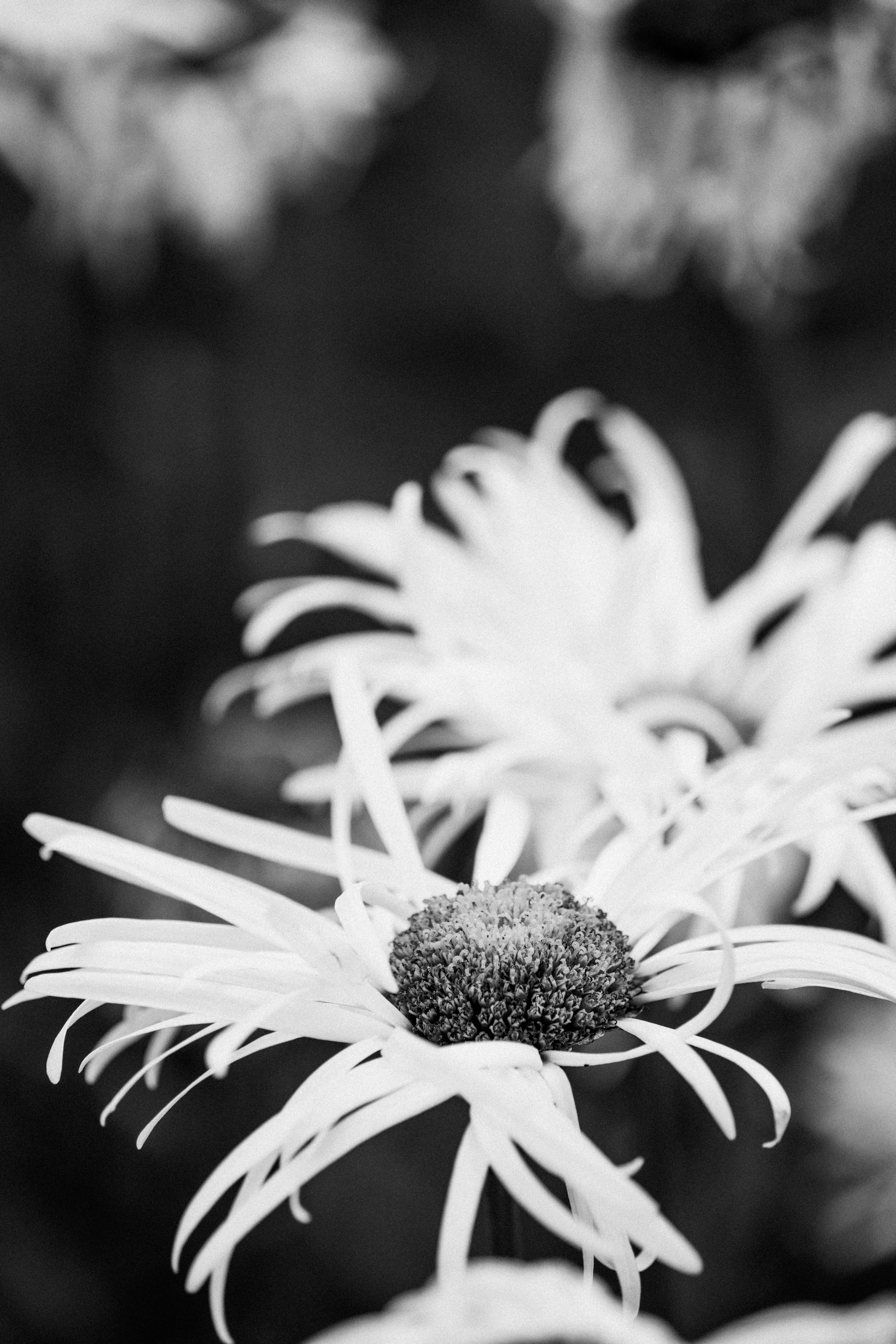 Photo by anniespratt