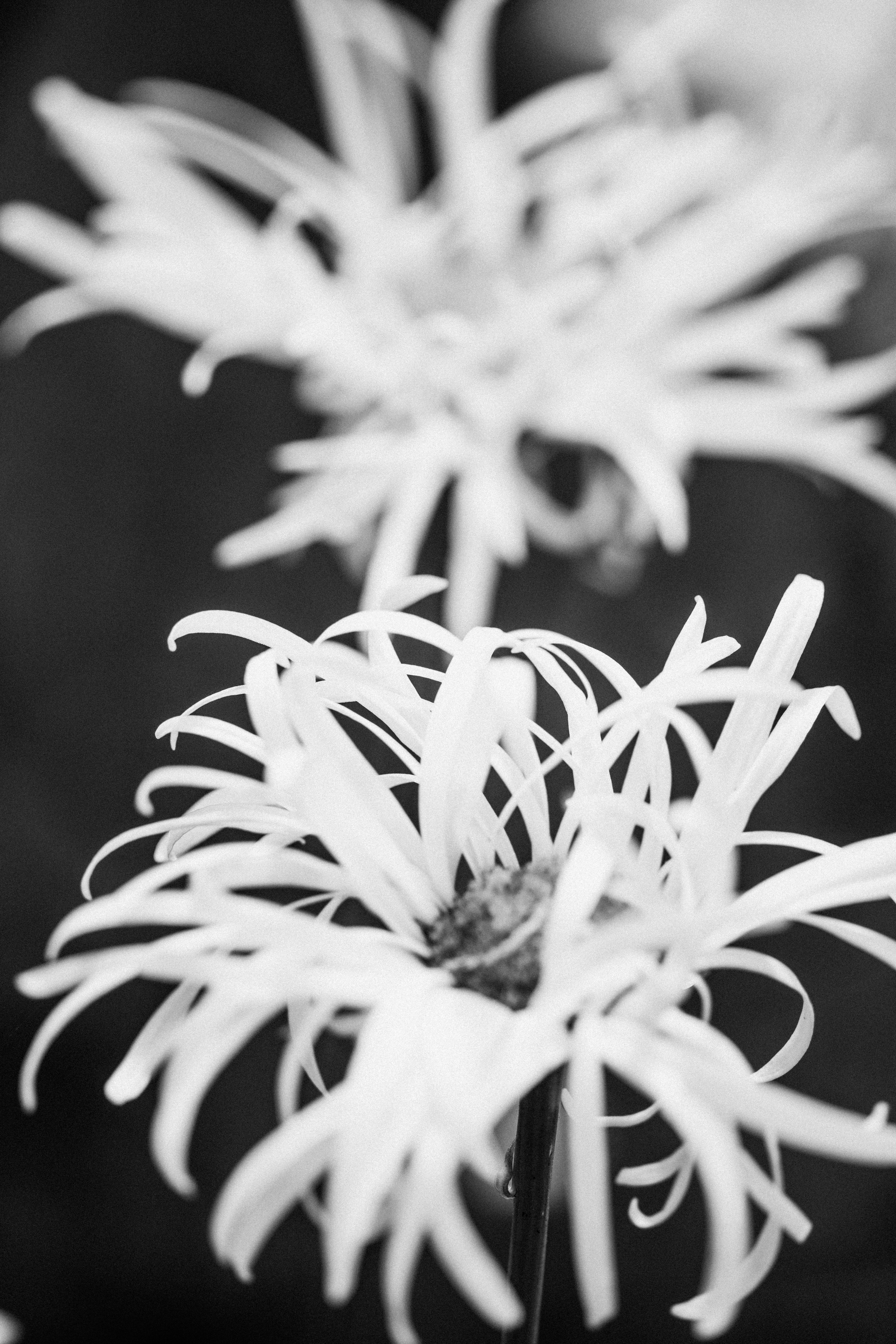 Photo by anniespratt