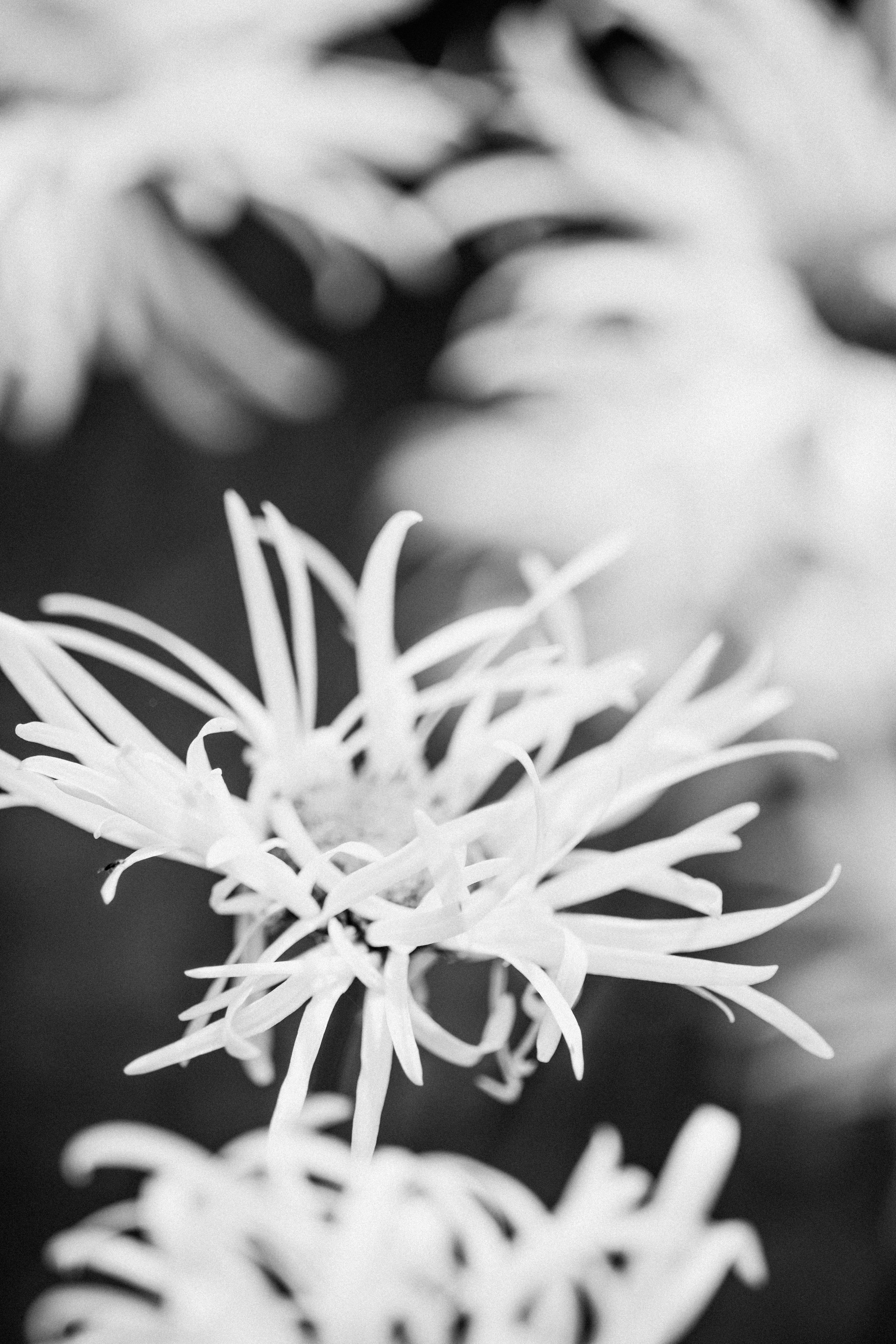 Photo by anniespratt