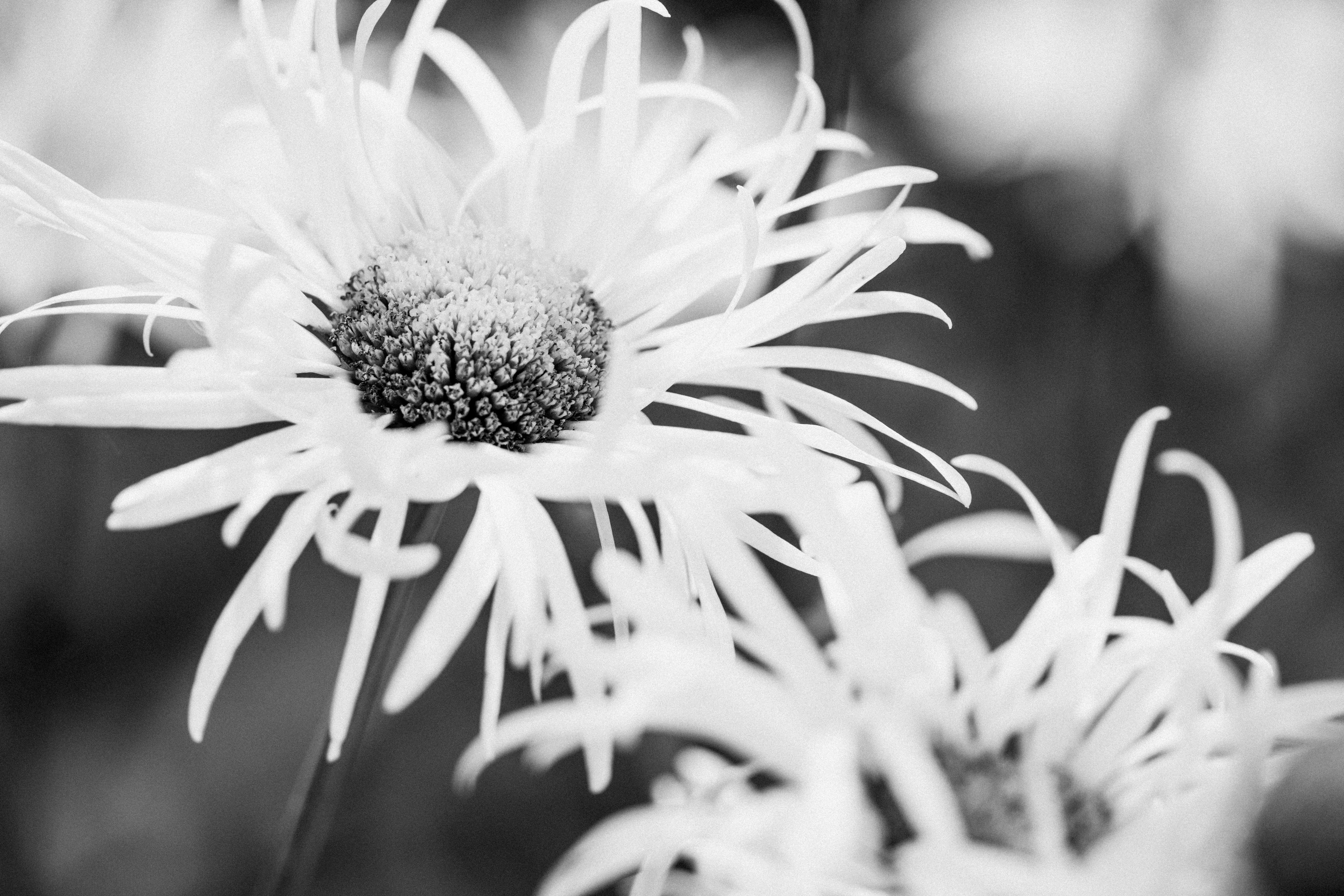 Photo by anniespratt