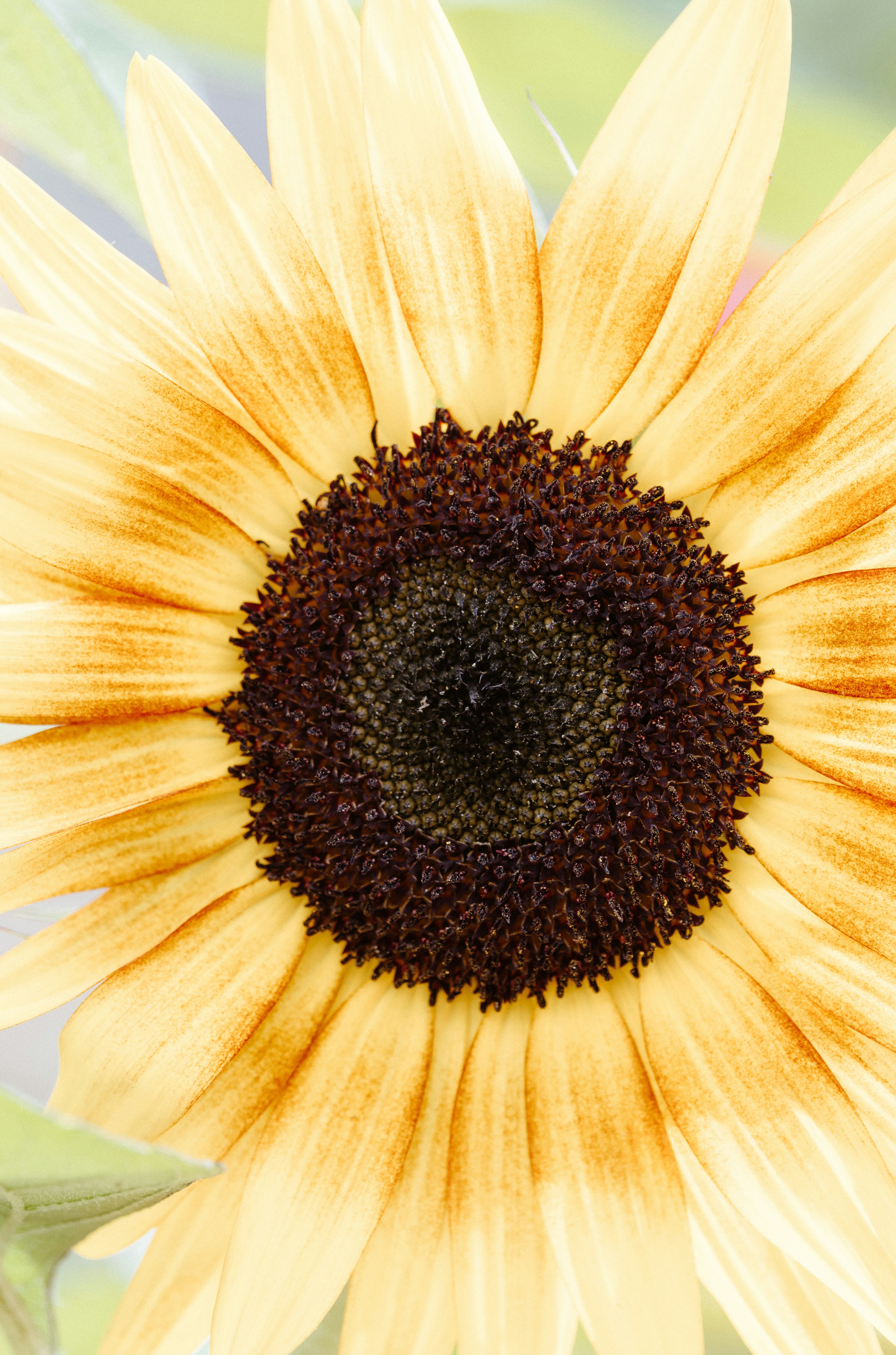 Photo by anniespratt