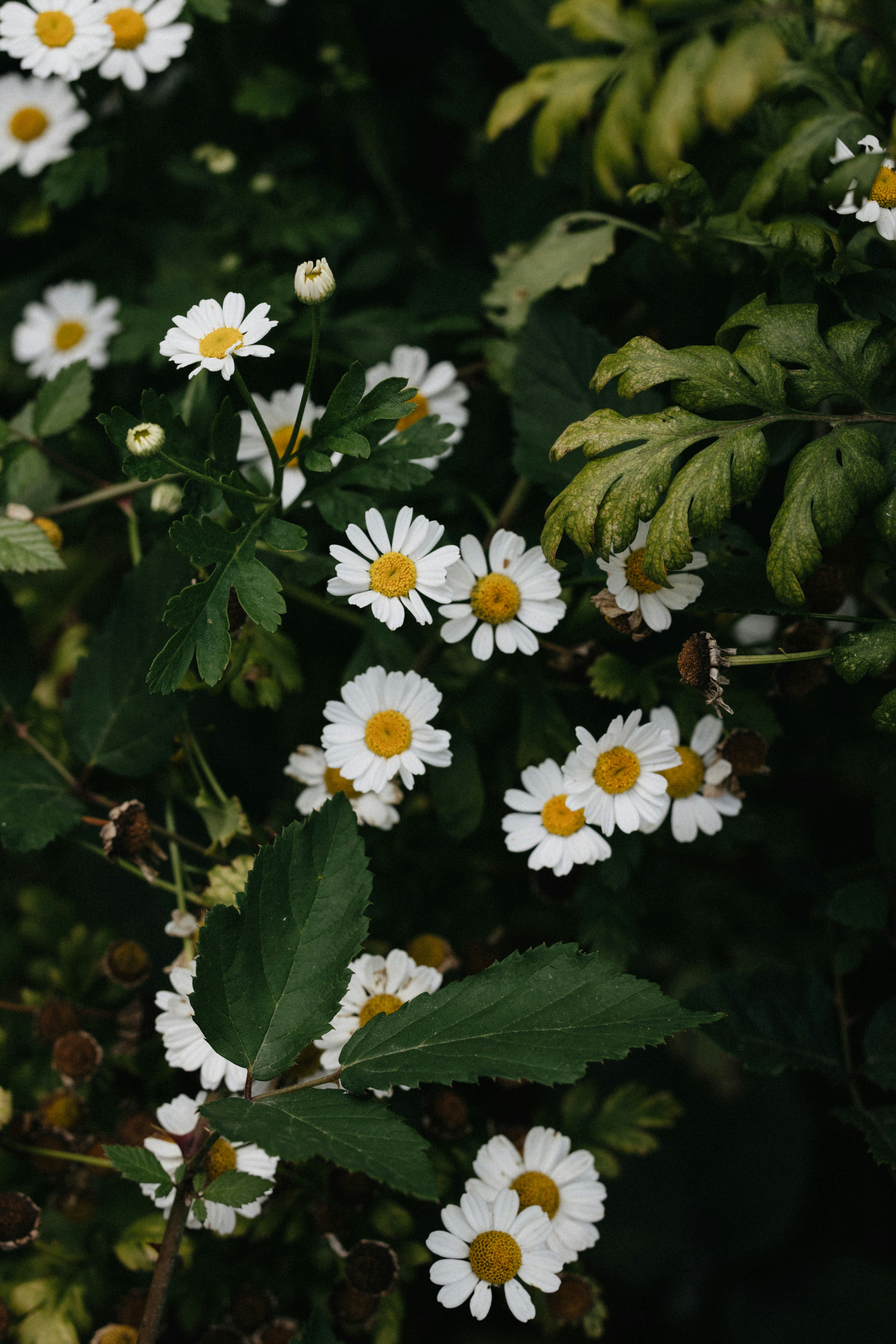 Photo by anniespratt