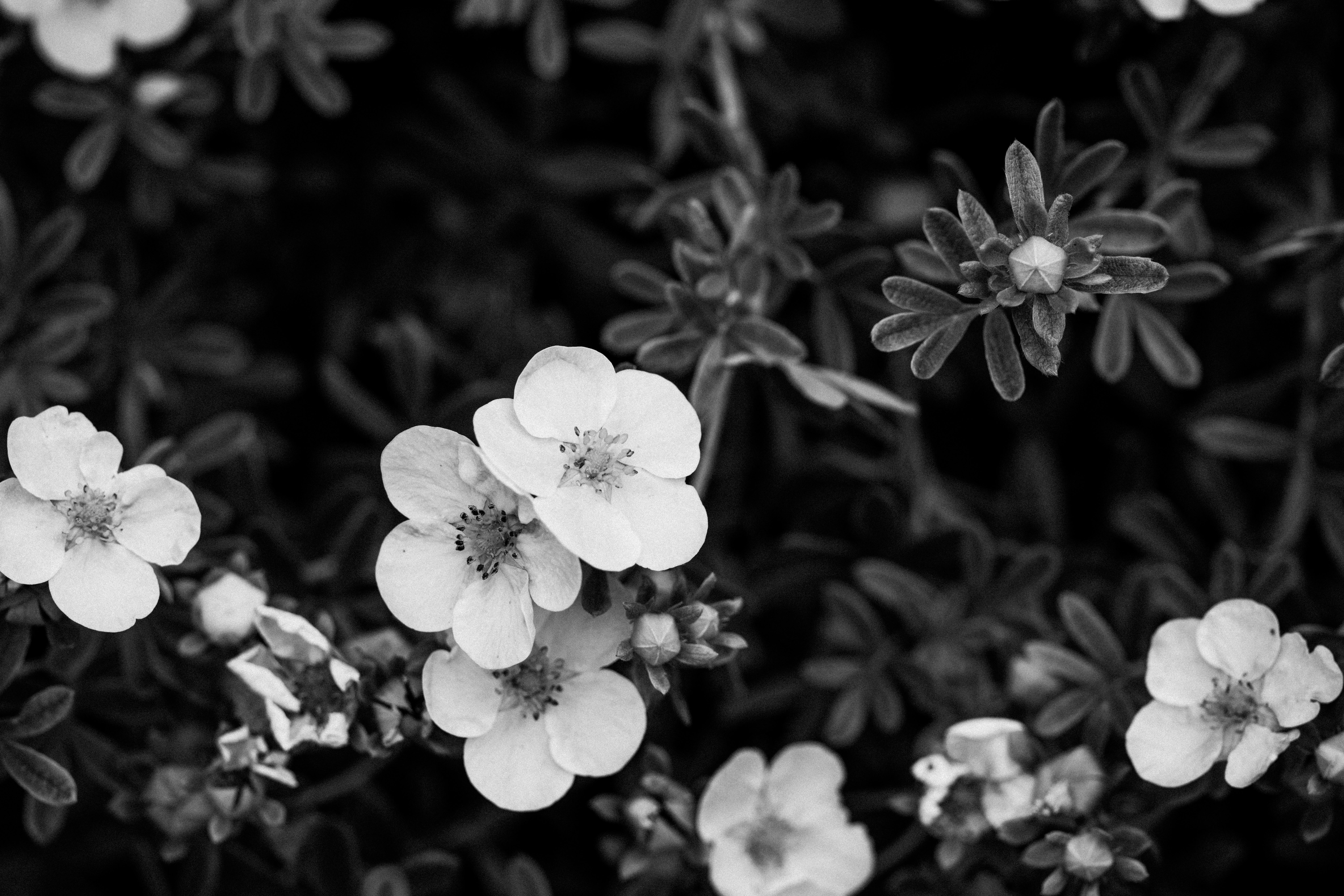 Photo by anniespratt