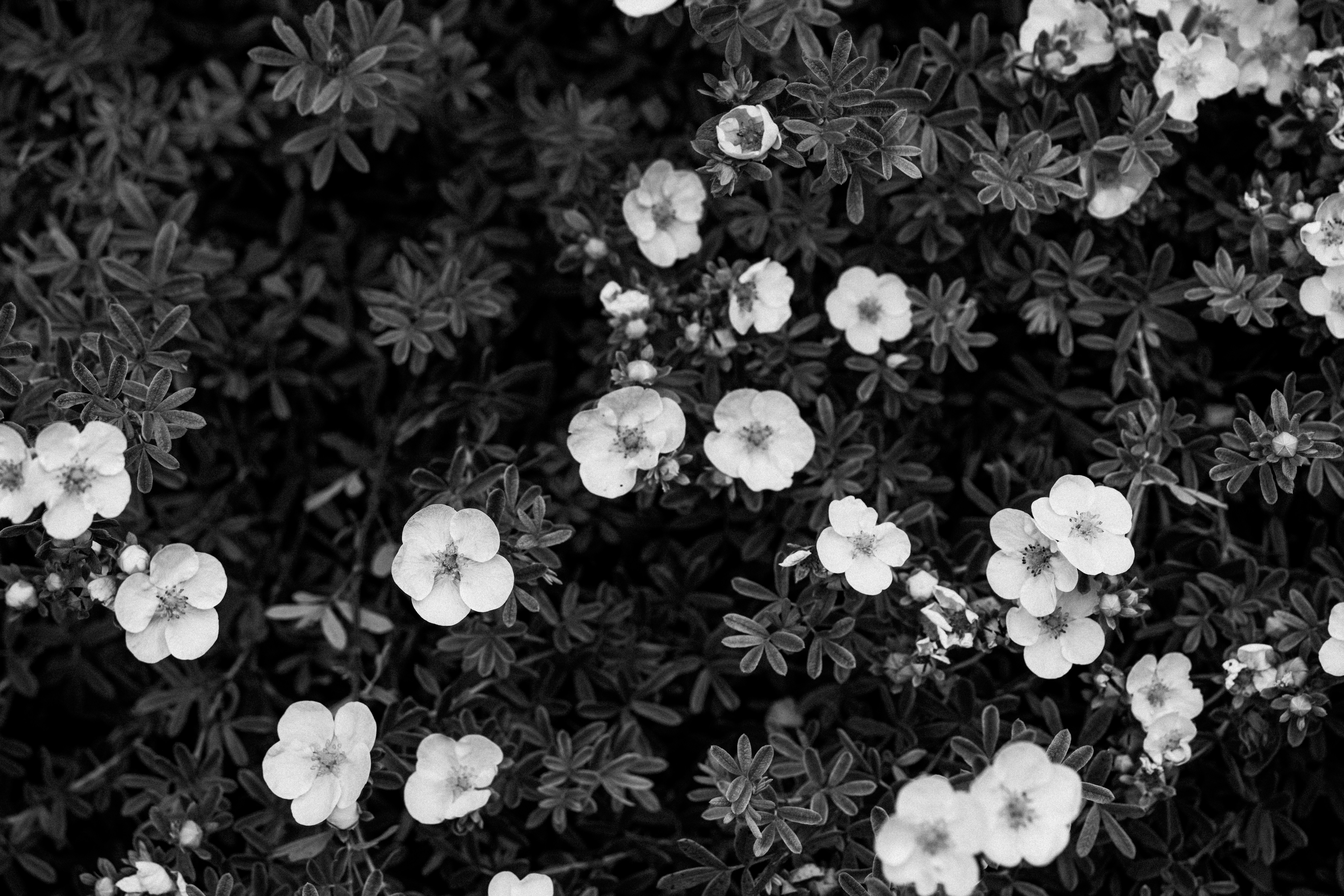 Photo by anniespratt