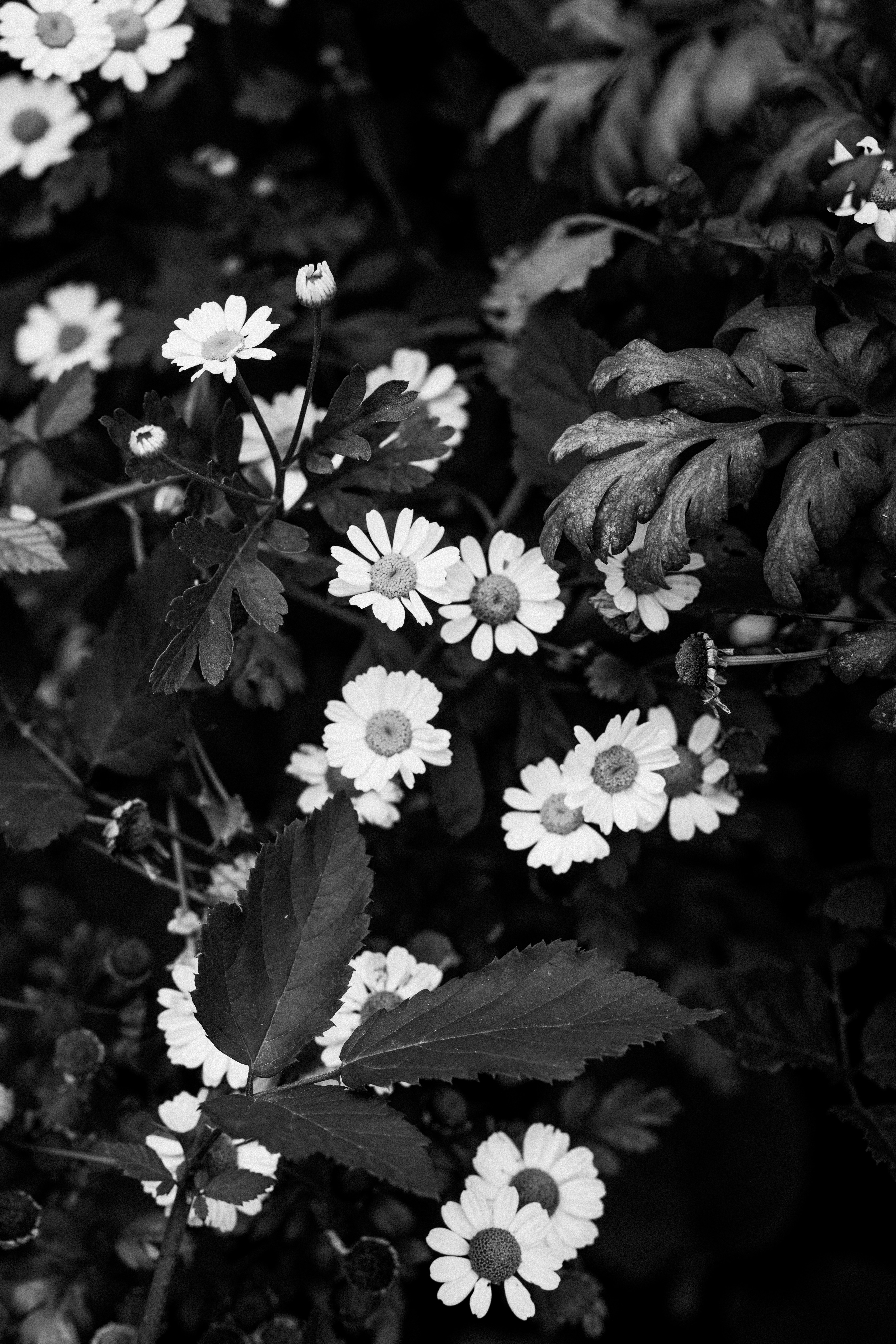 Photo by anniespratt