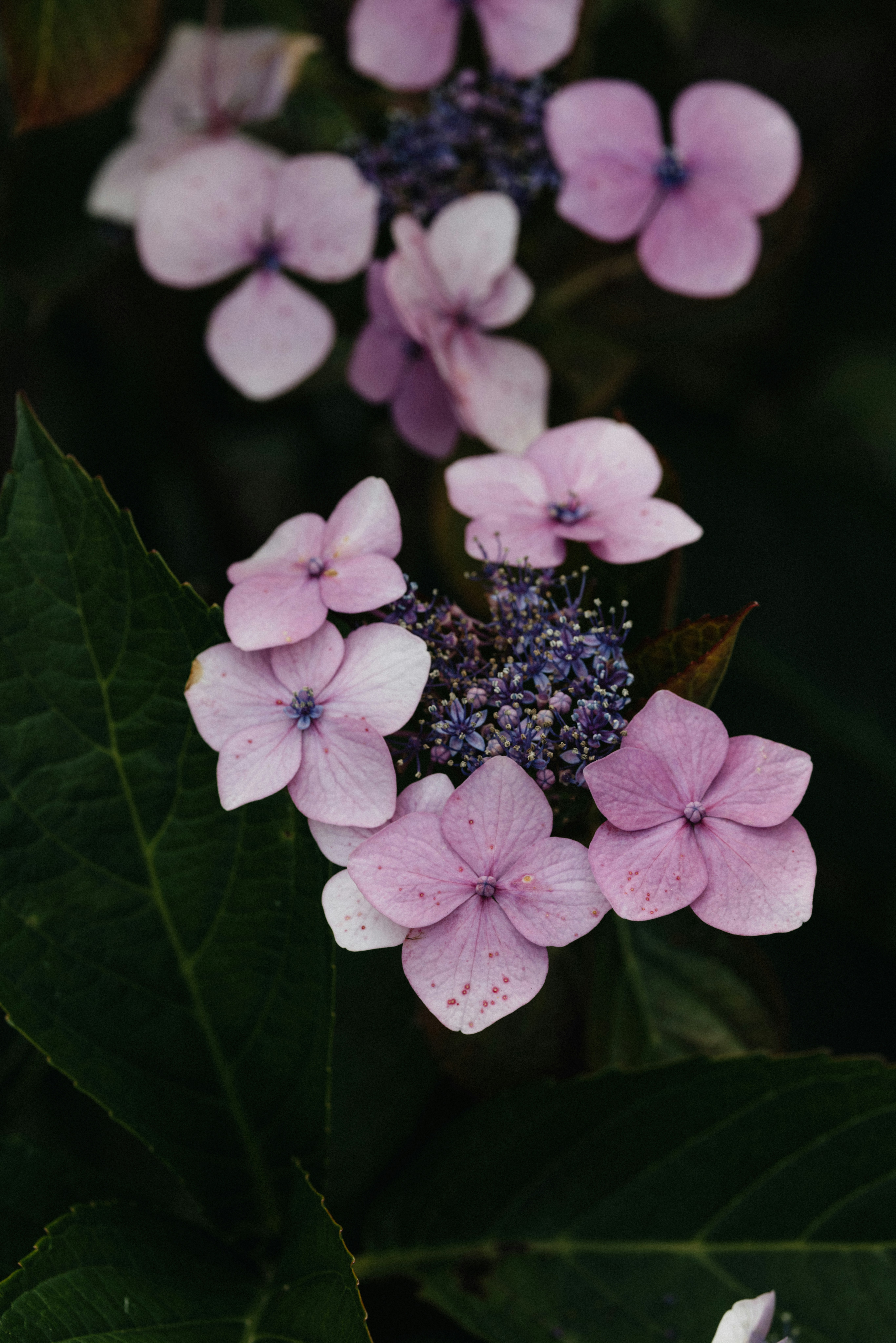 Photo by anniespratt