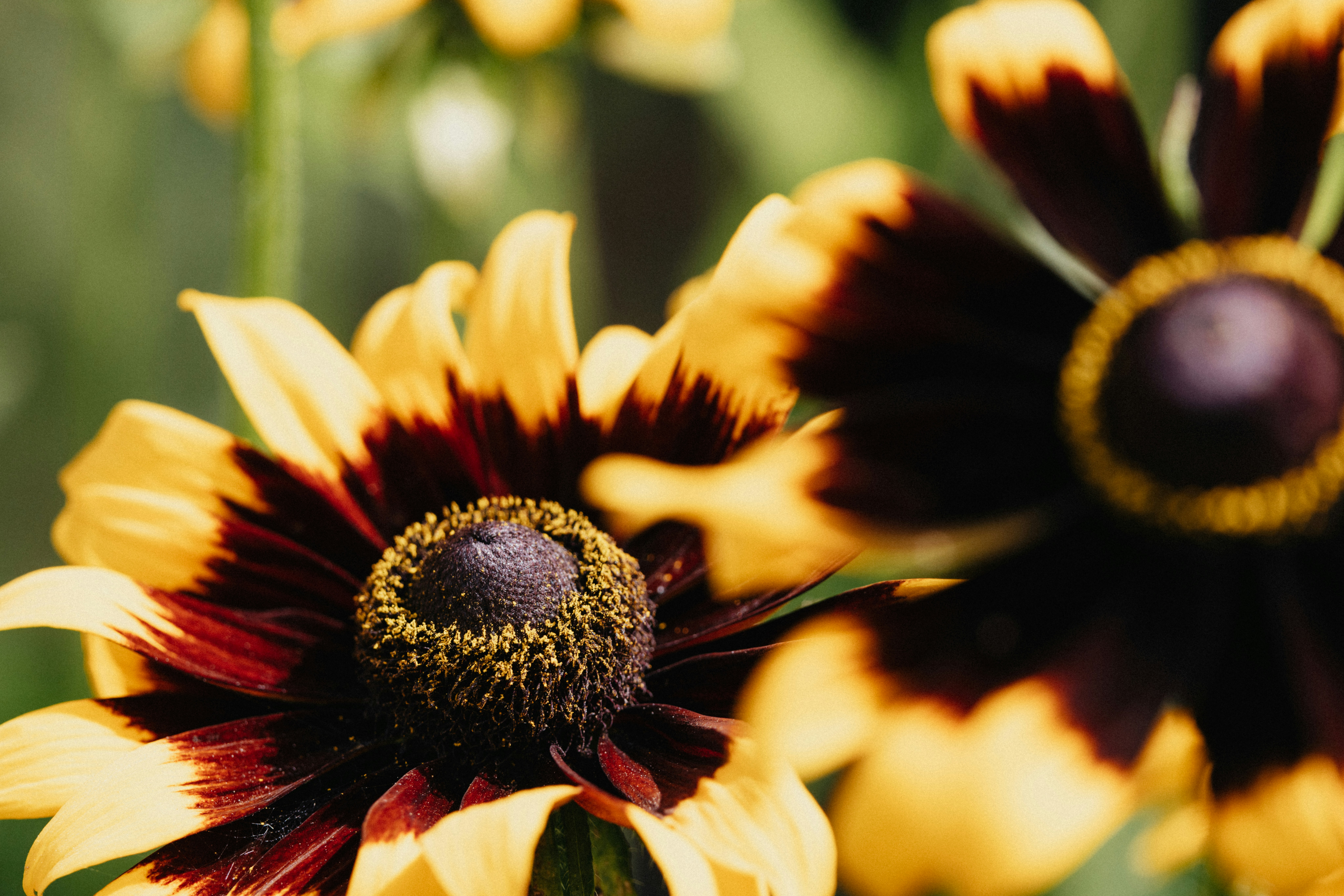 Photo by anniespratt