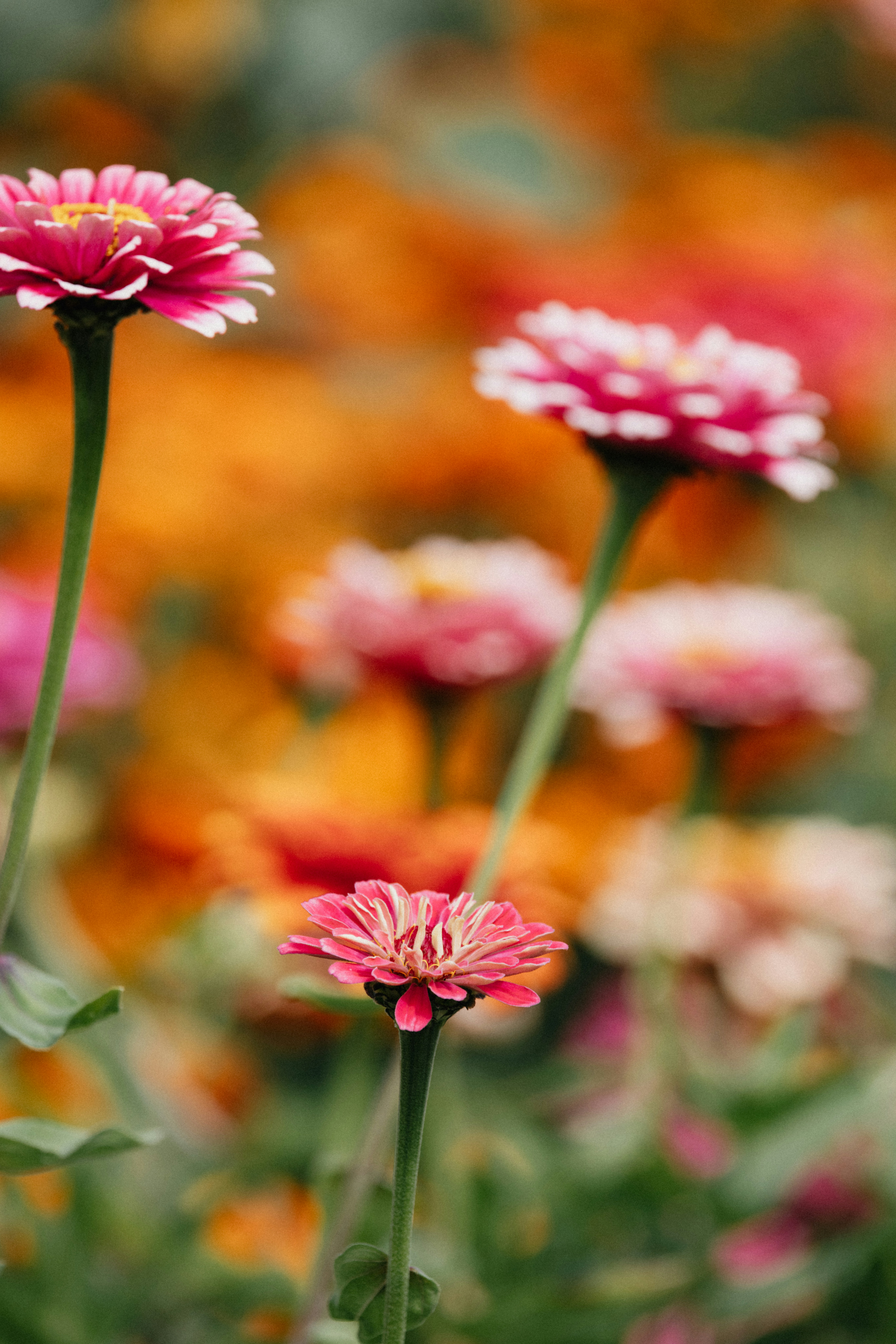 Photo by anniespratt