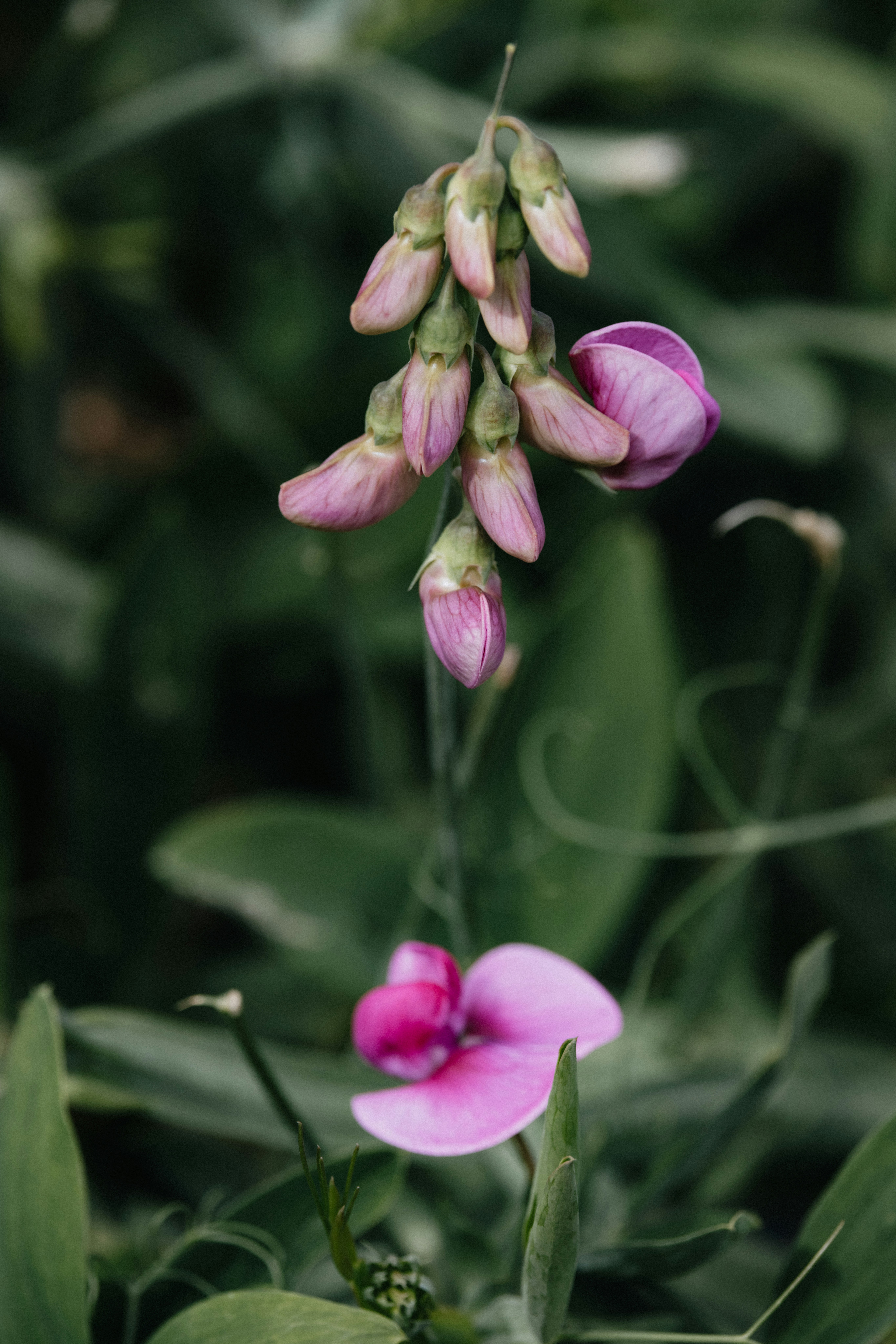 Photo by anniespratt