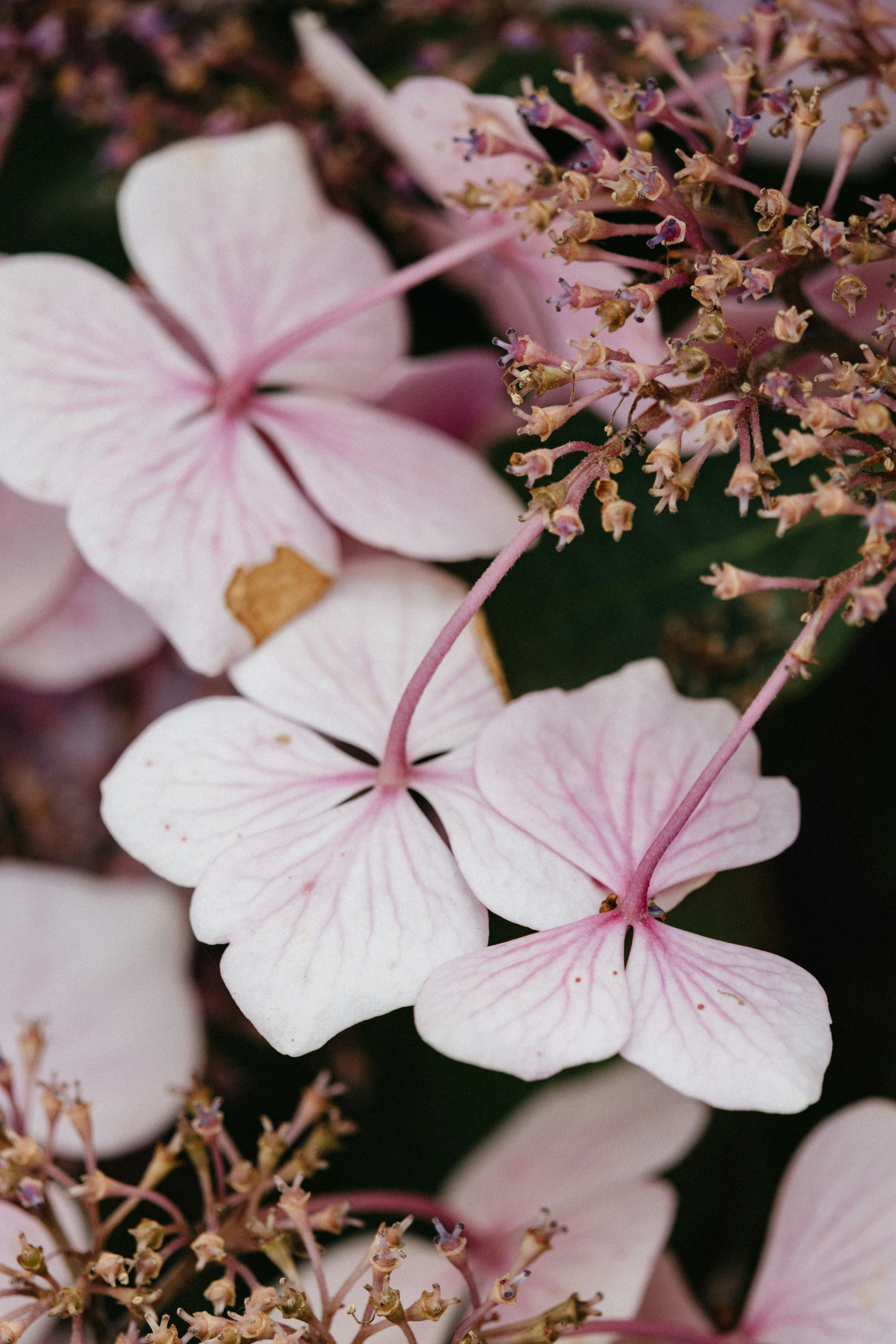 Photo by anniespratt