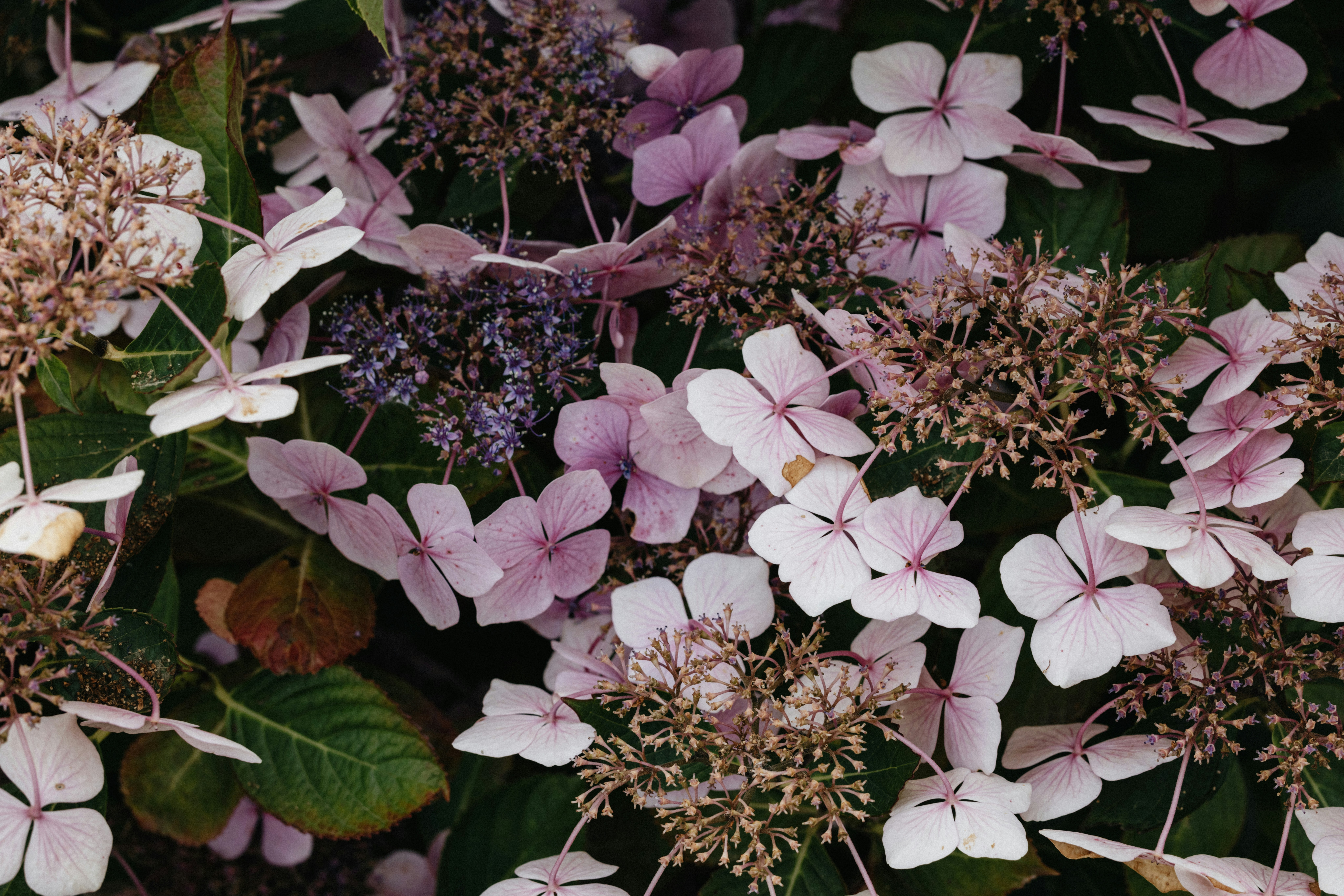 Photo by anniespratt