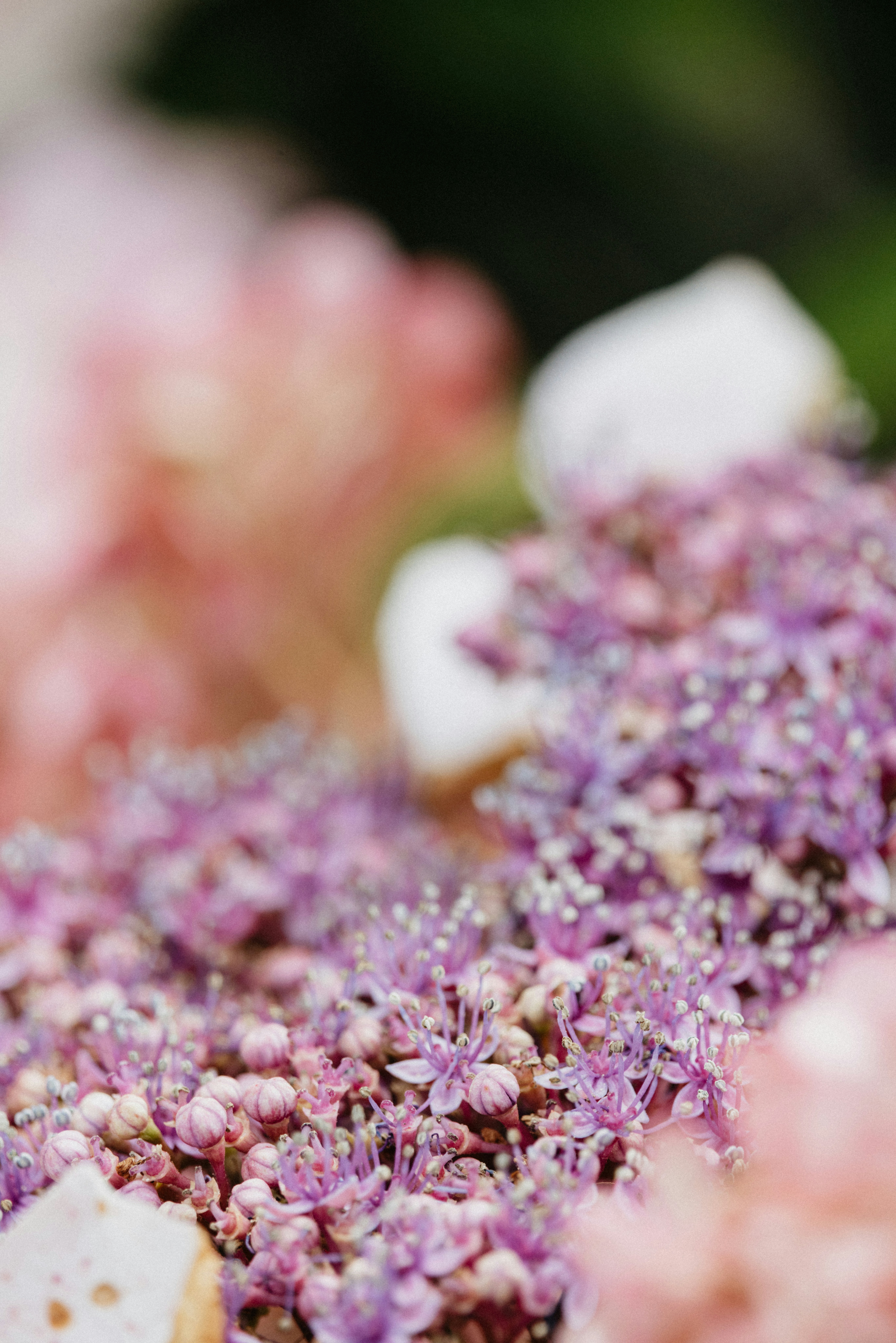 Photo by anniespratt