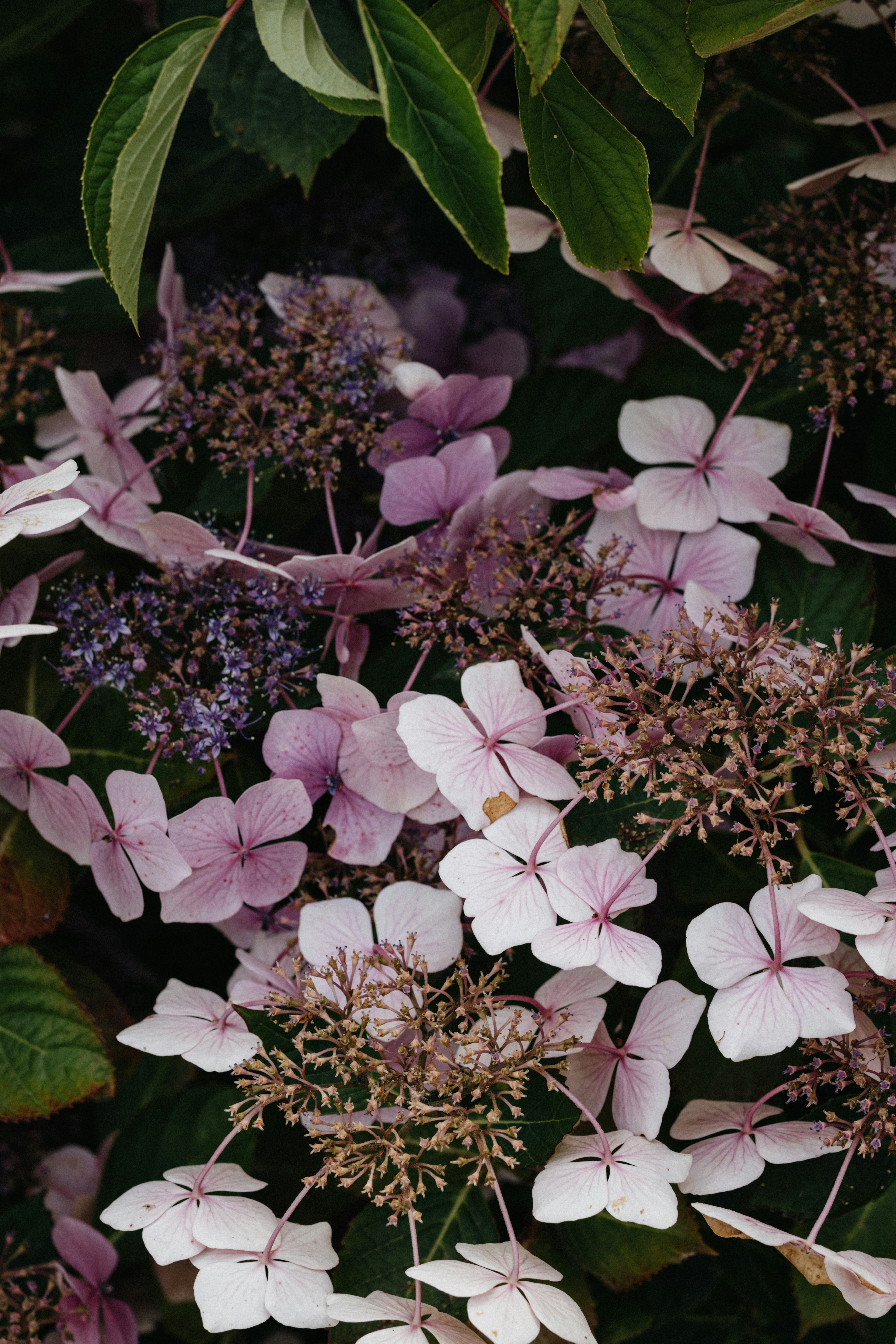 Photo by anniespratt