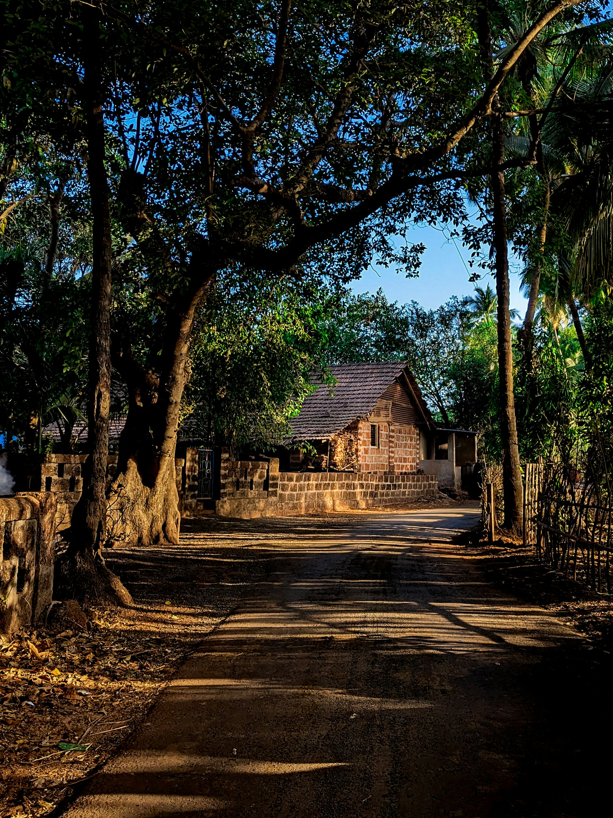 Un camino de tierra rodeado de árboles y una casa