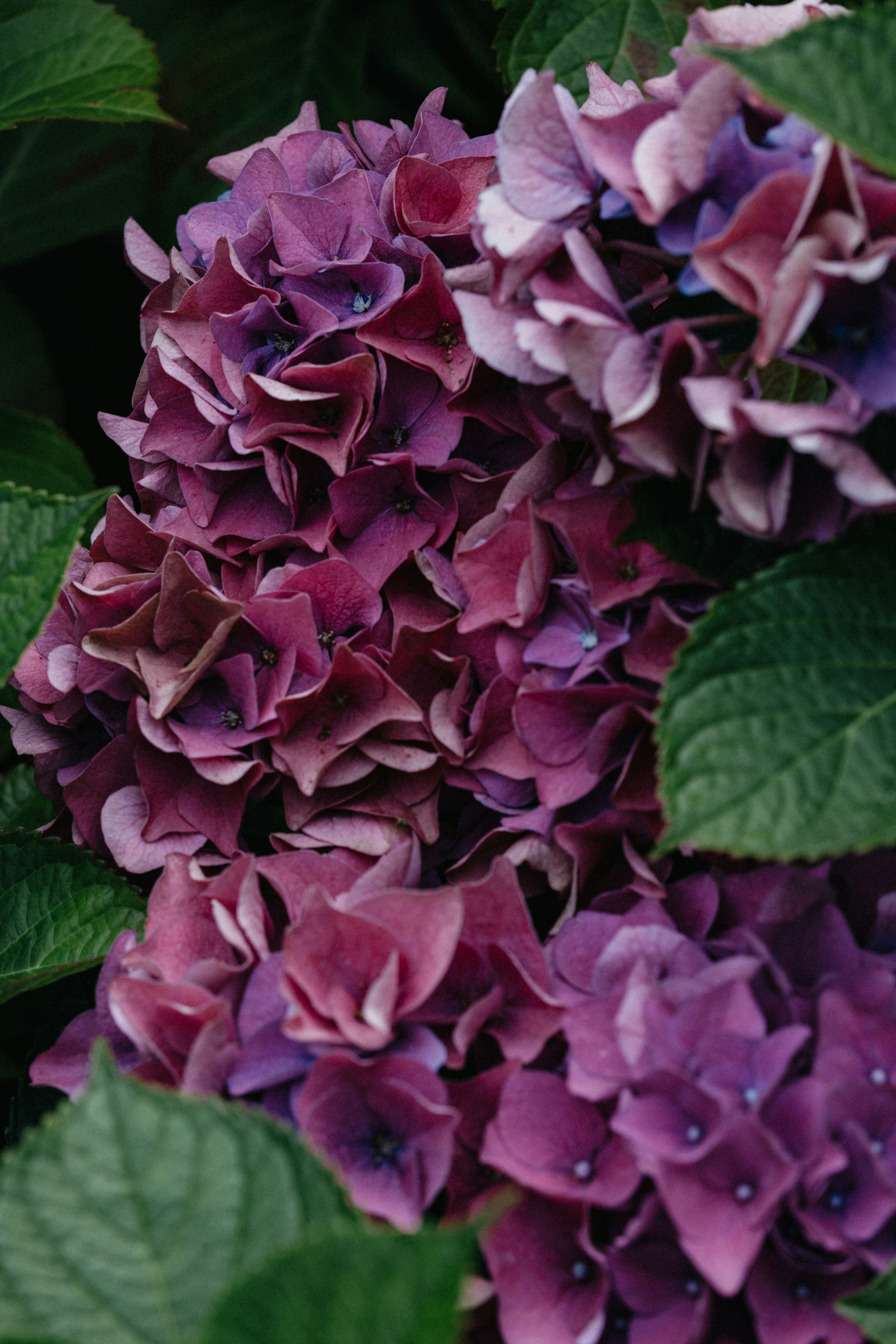 Photo by anniespratt