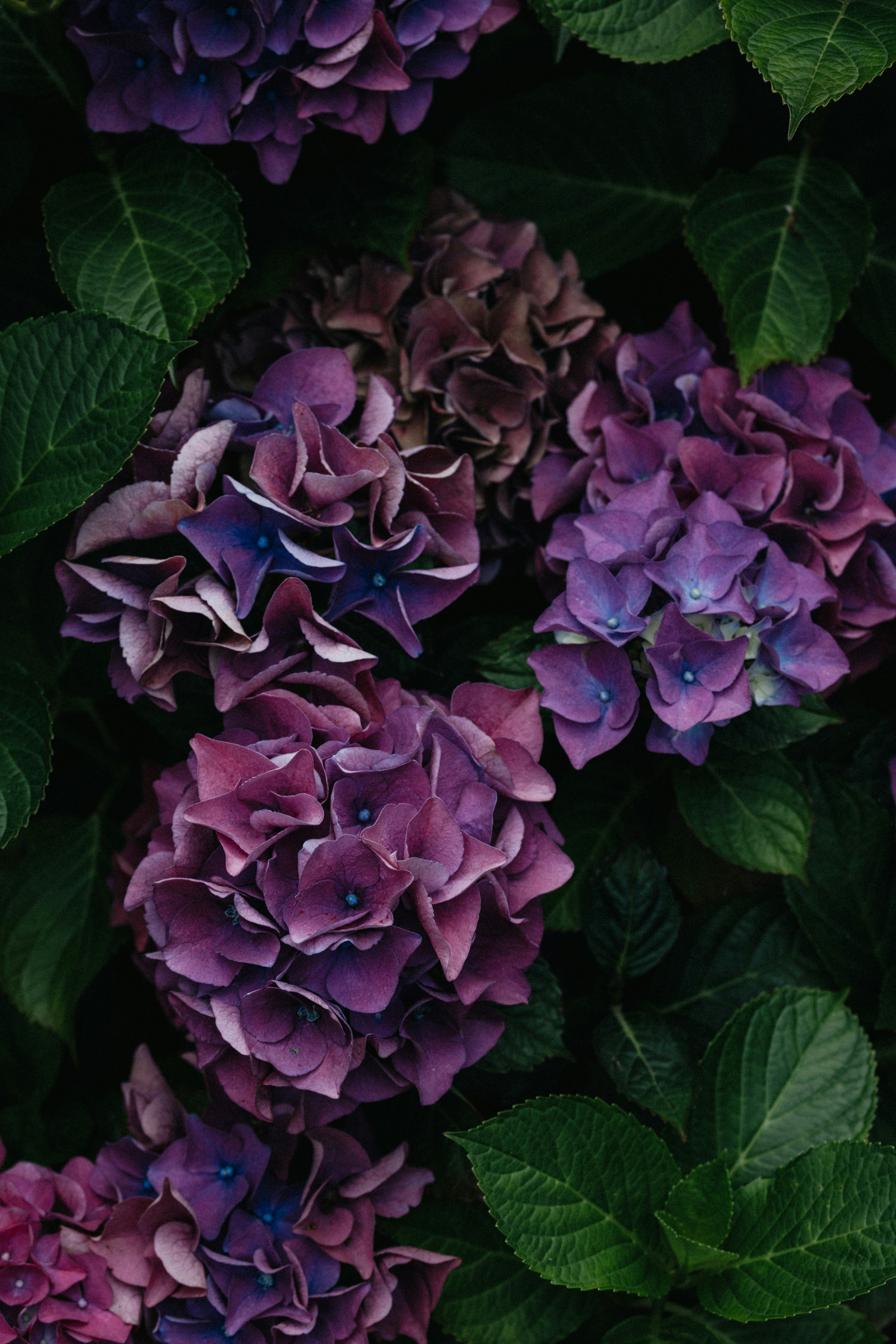 Photo by anniespratt