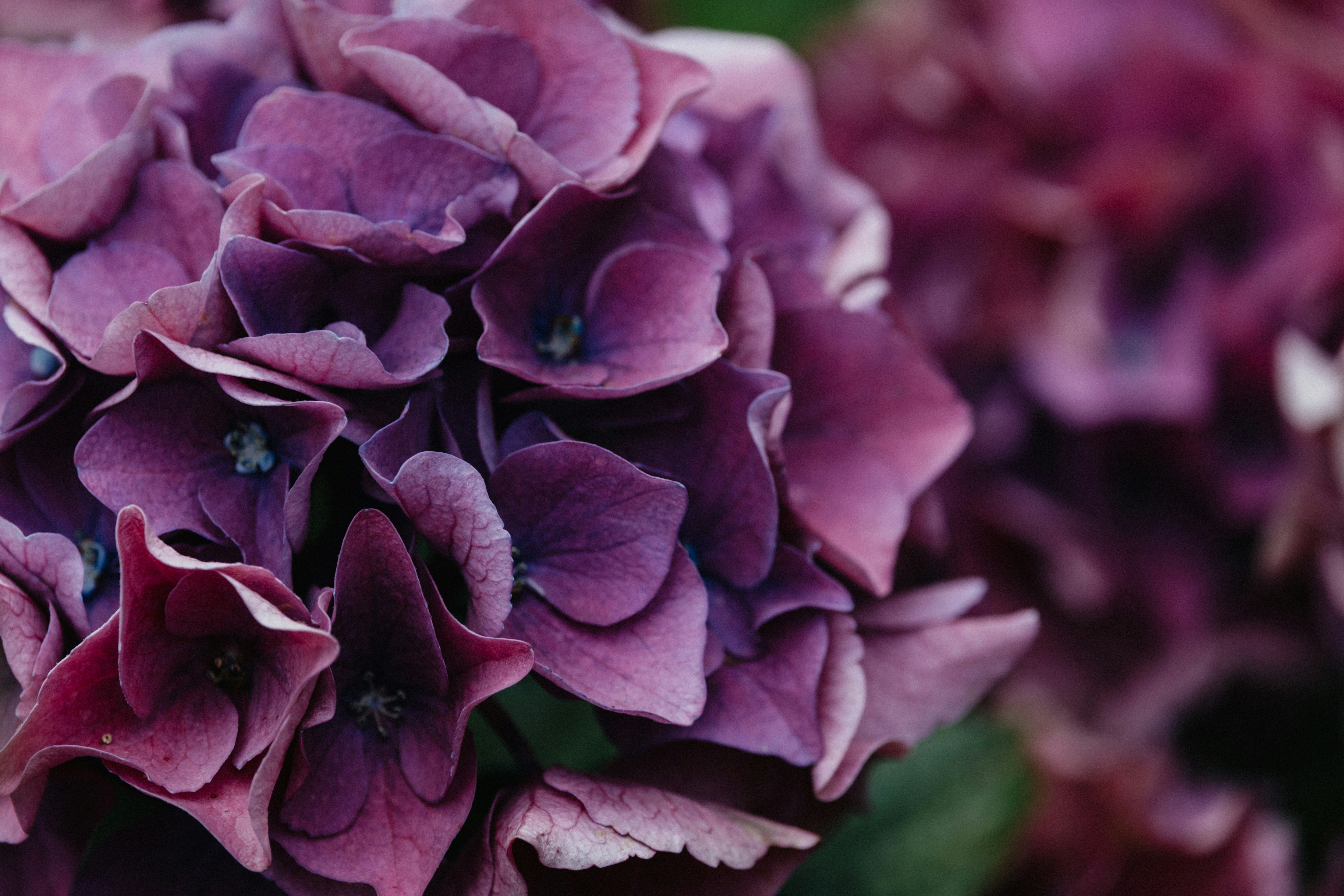 Photo by anniespratt