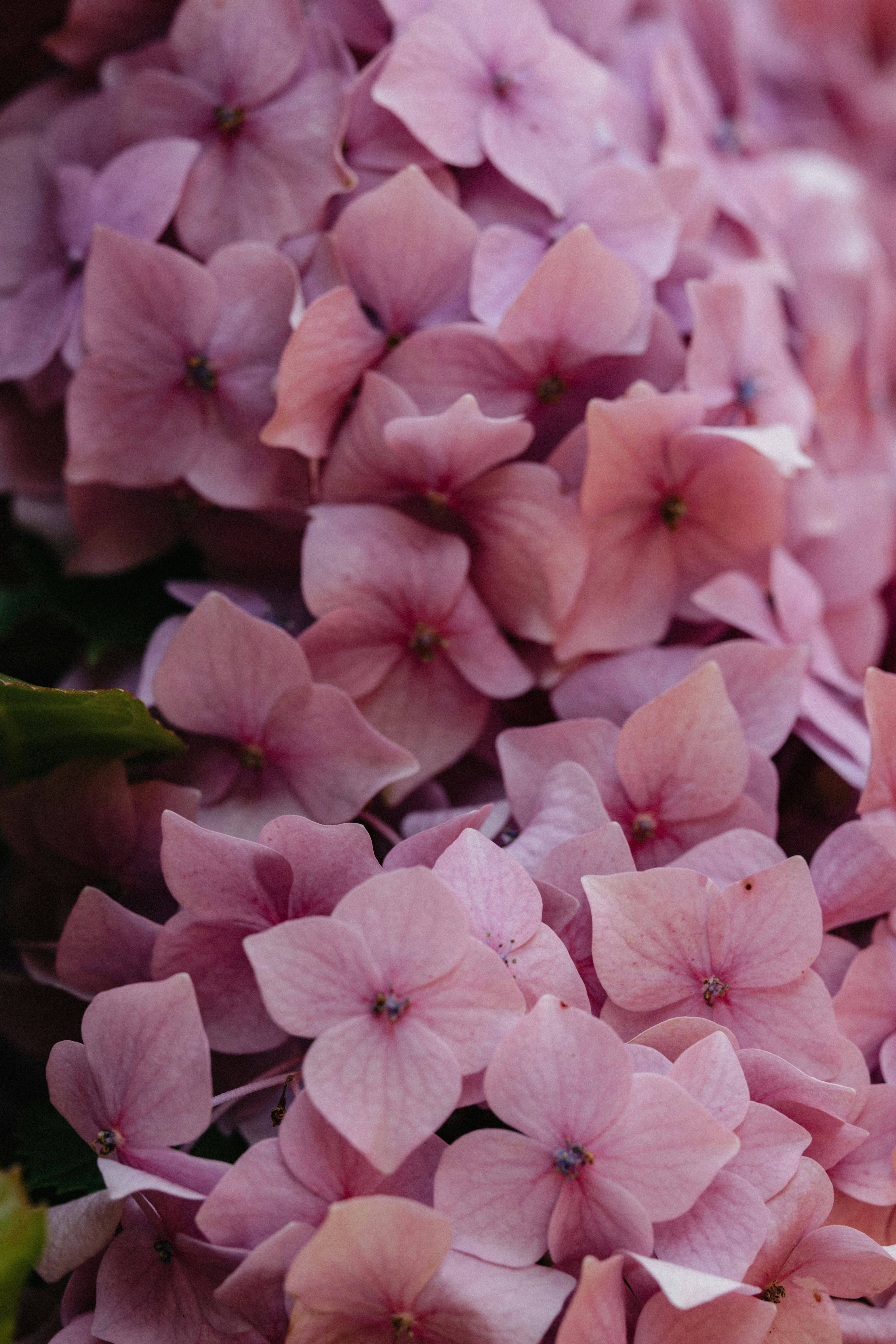 Photo by anniespratt