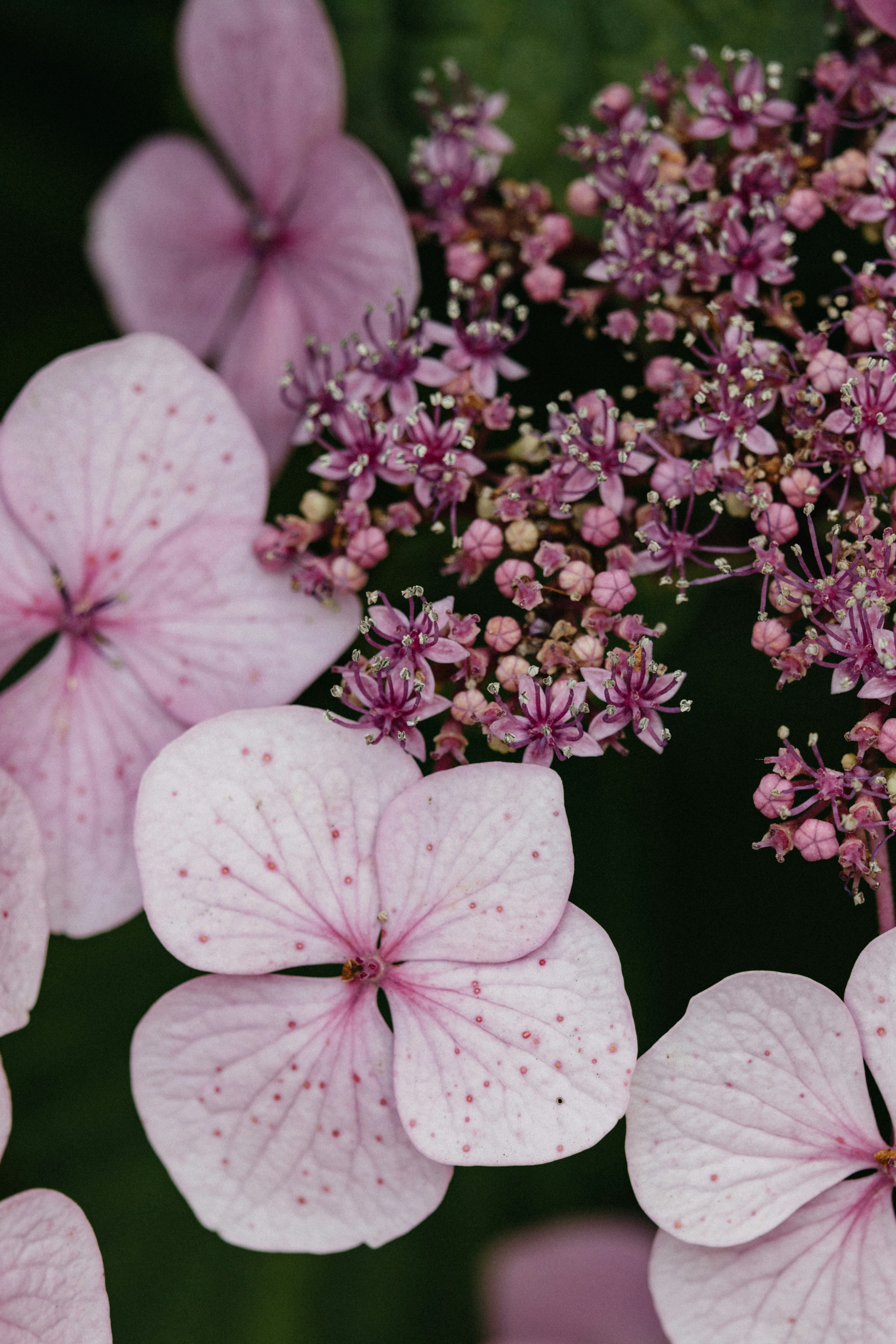 Photo by anniespratt