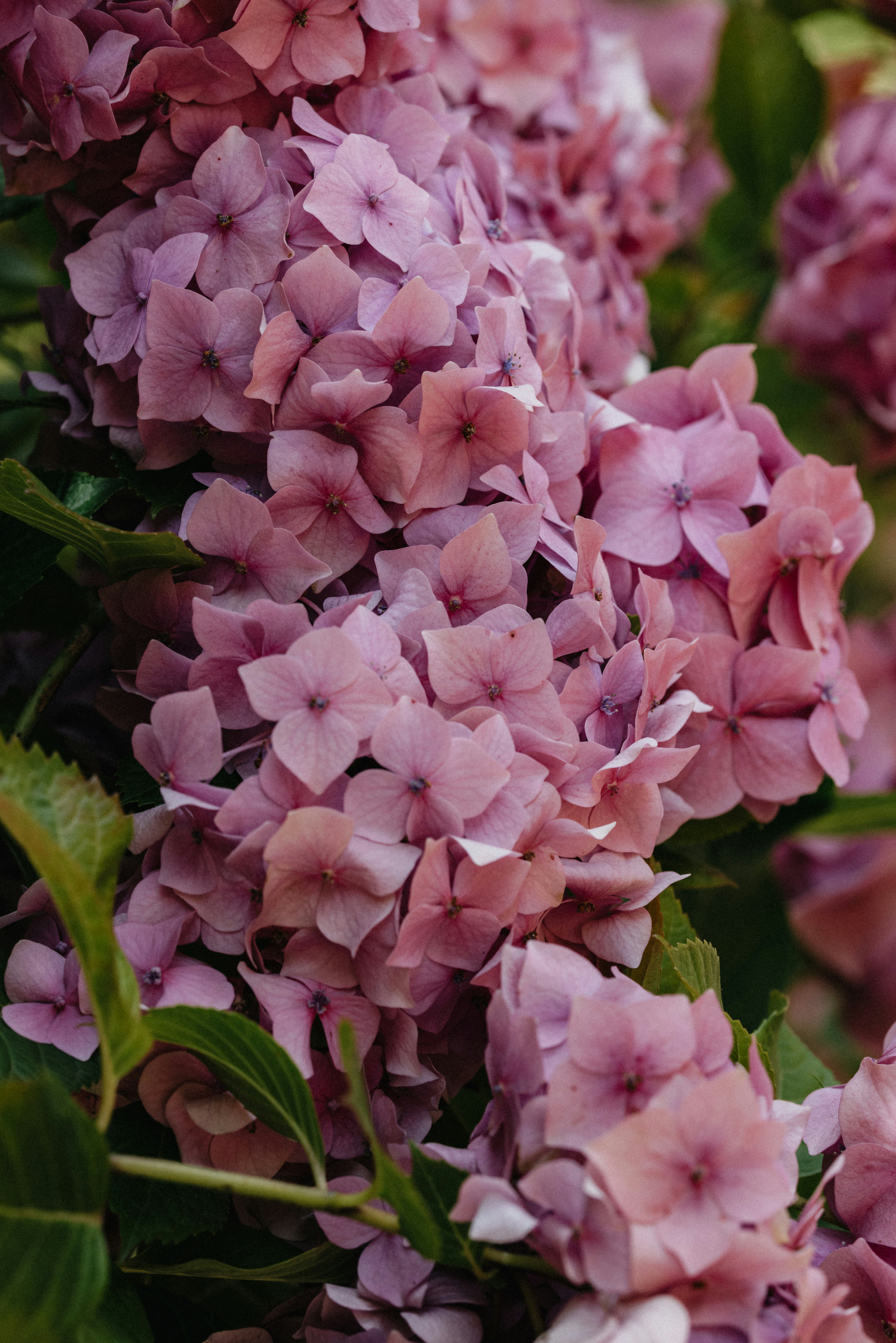 Photo by anniespratt