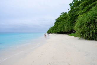 Two people walking on a beach near the ocean