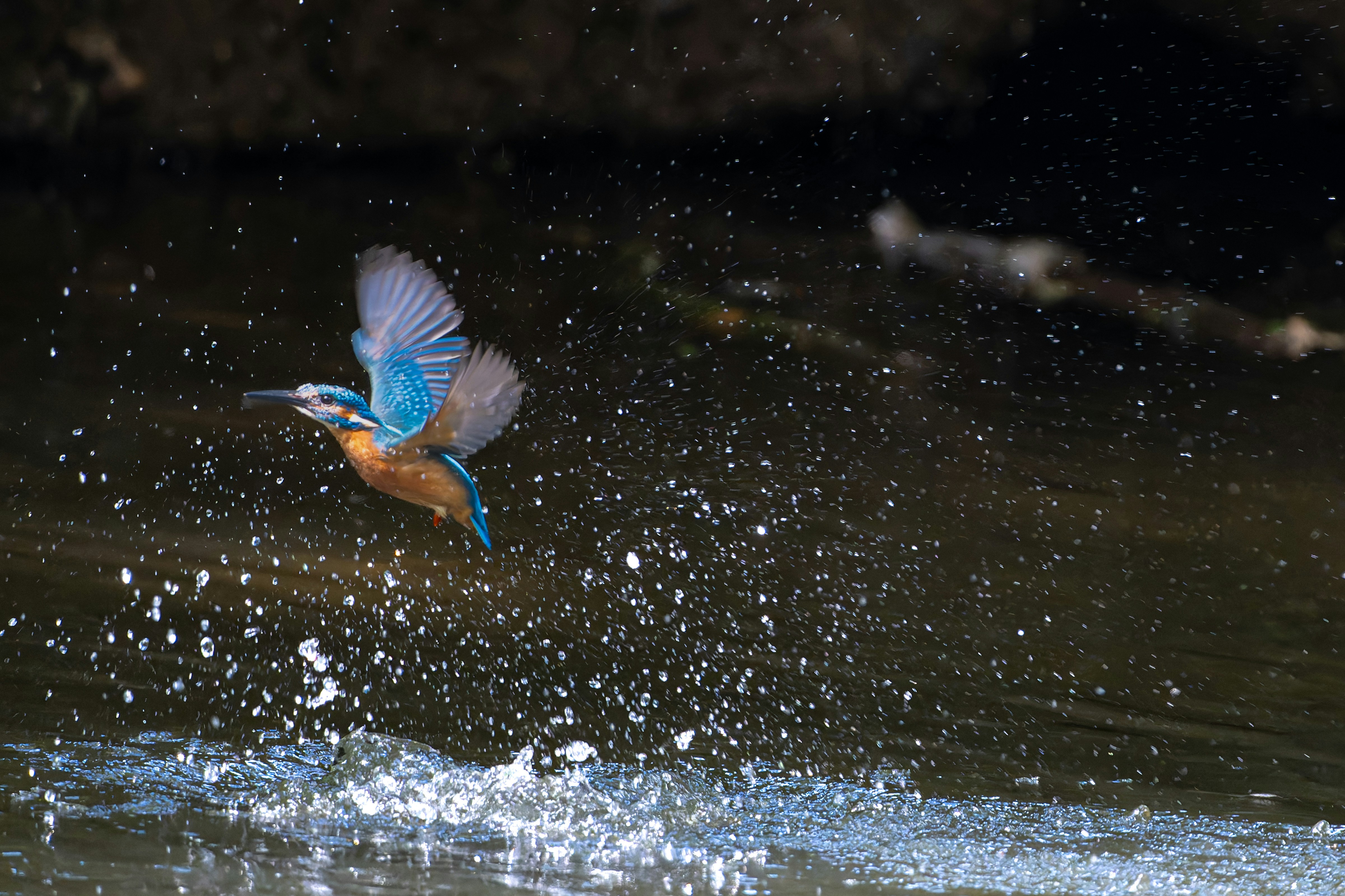 Photo by siegfriedpoepperl