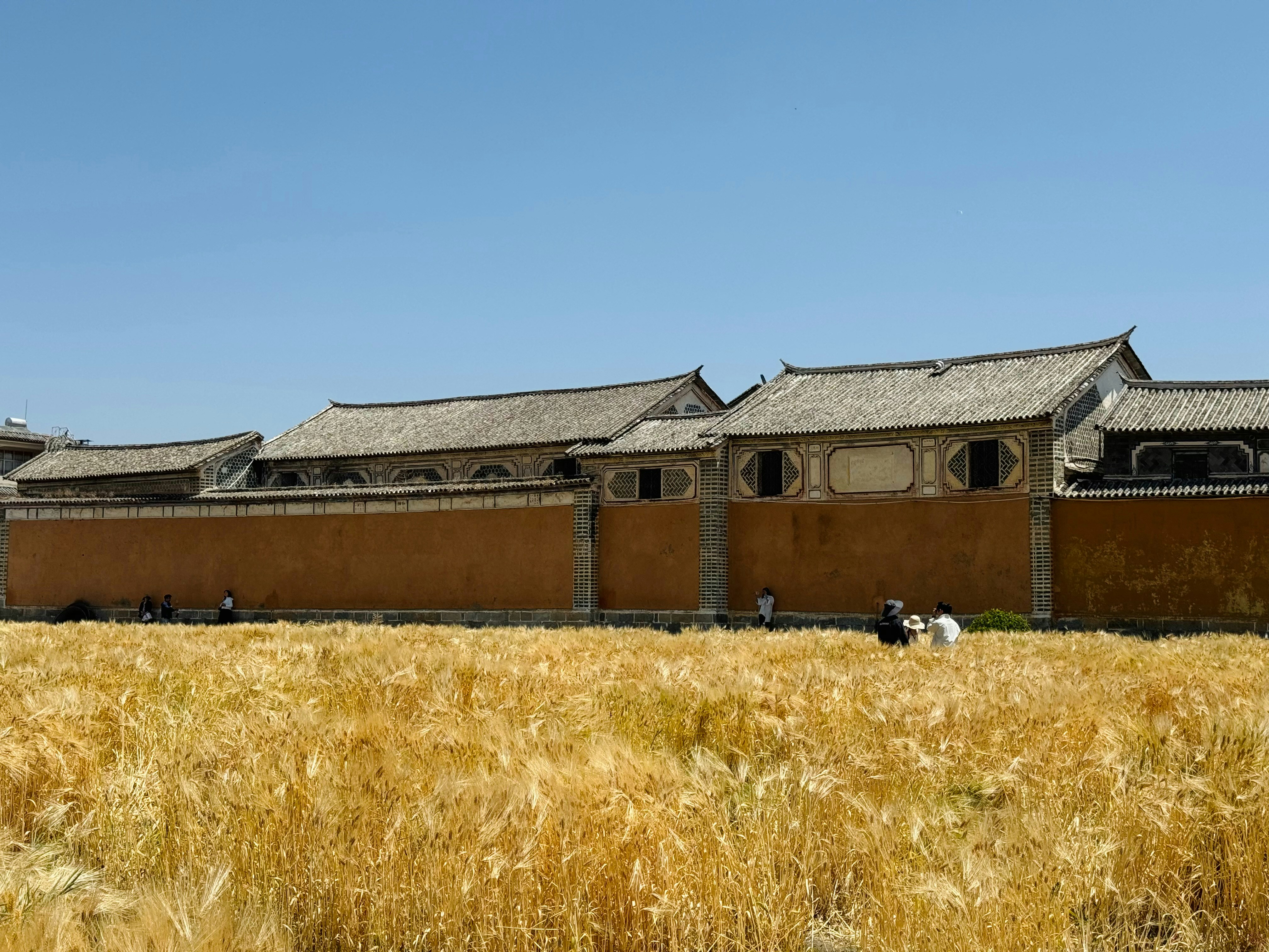 Photo by cest_yangyang