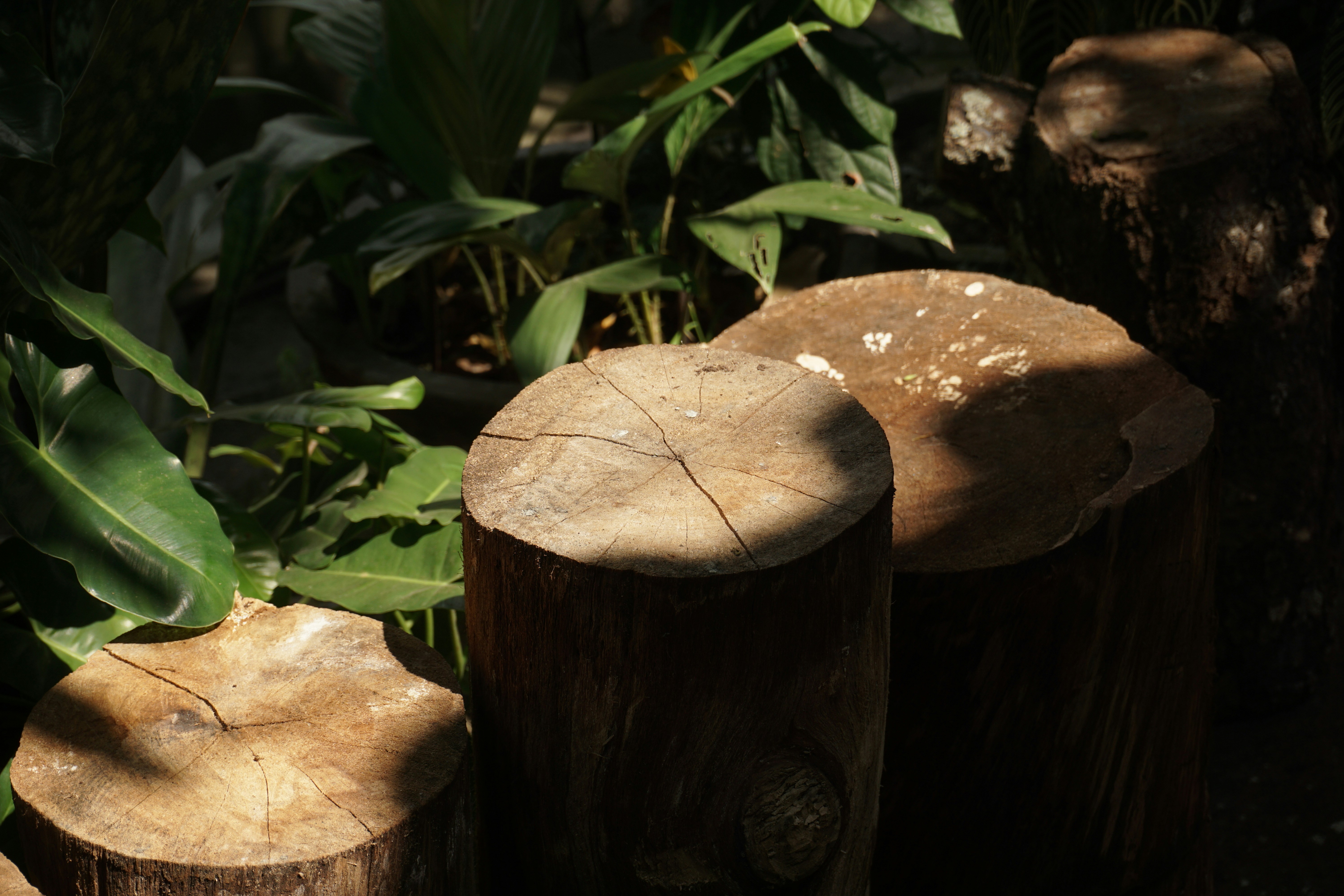 A group of wooden logs sitting next to each other