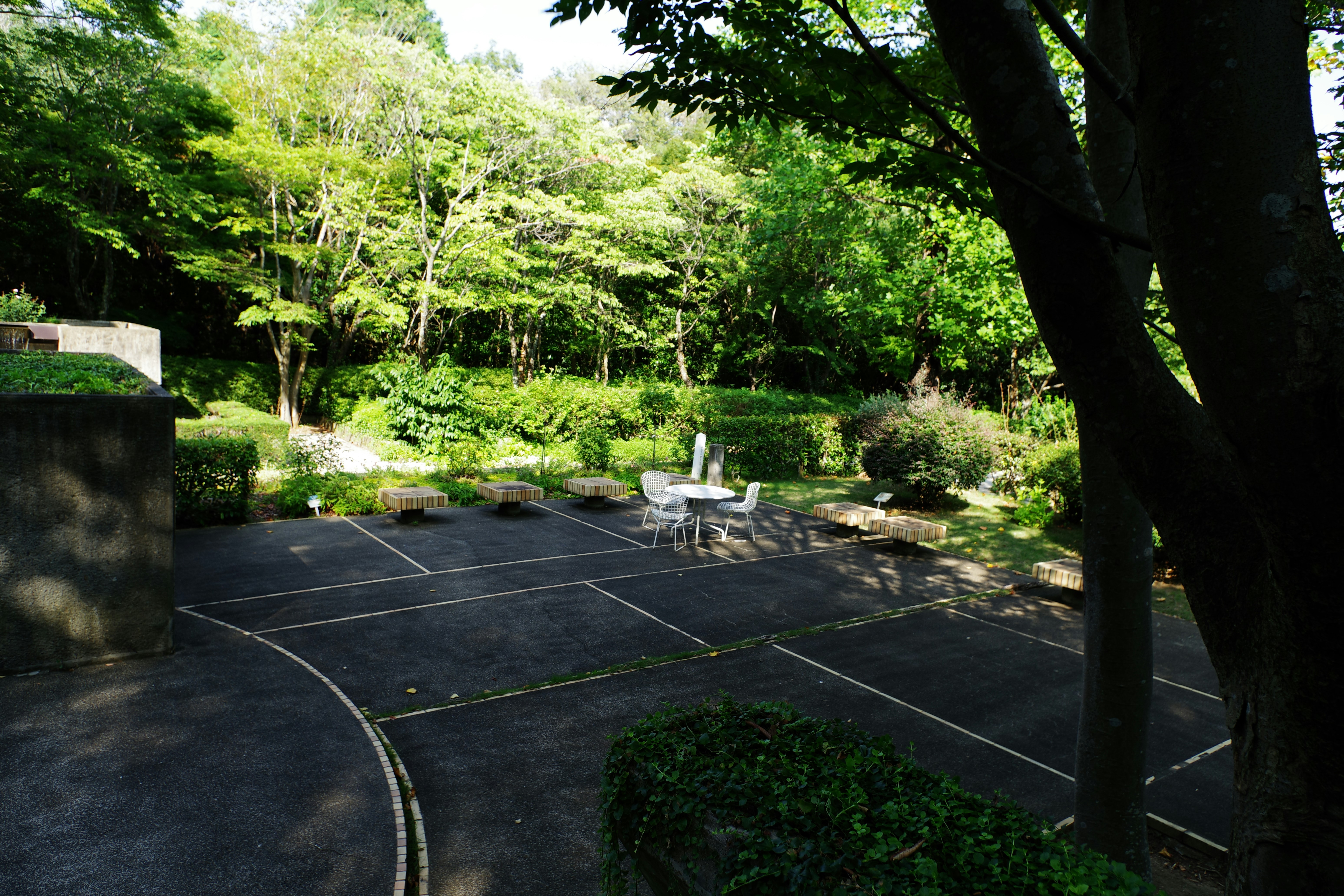 Beautiful green garden court