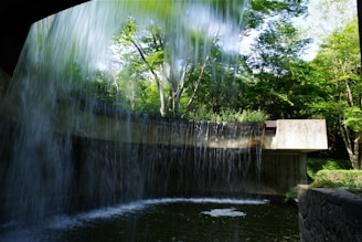 A small waterfall in the middle of a forest